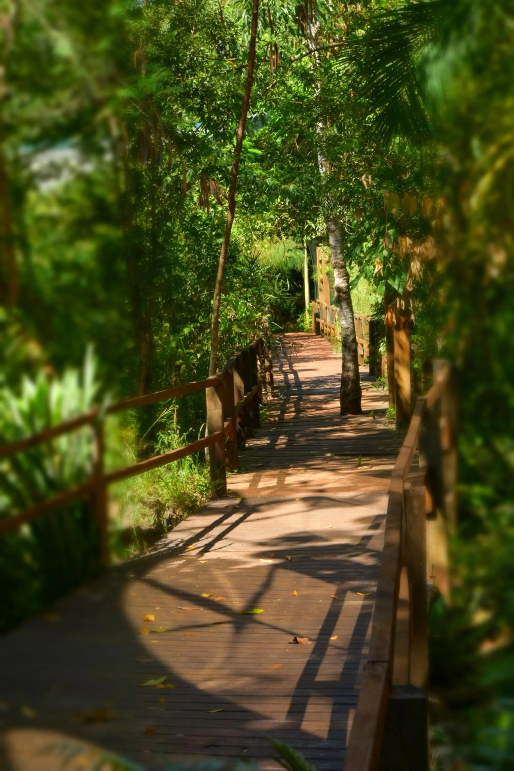 Garden in El Pueblito Iguazú