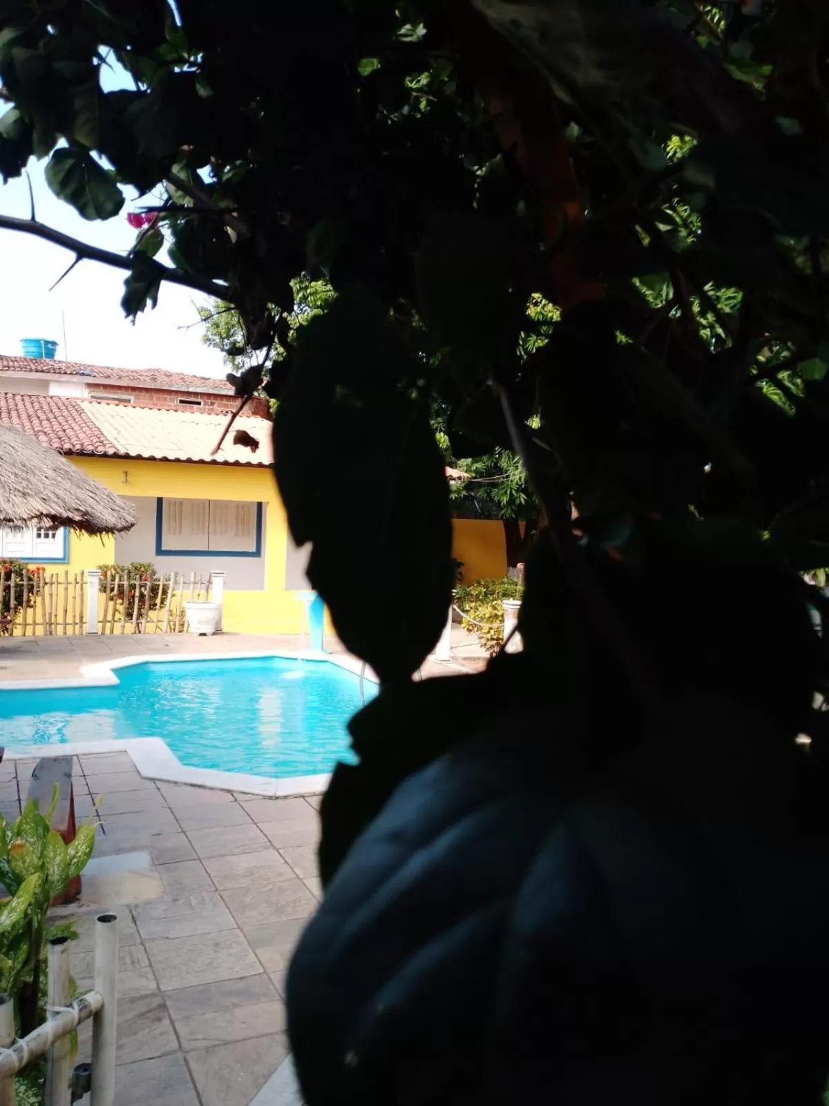 Swimming Pool in Ecomar Pousada