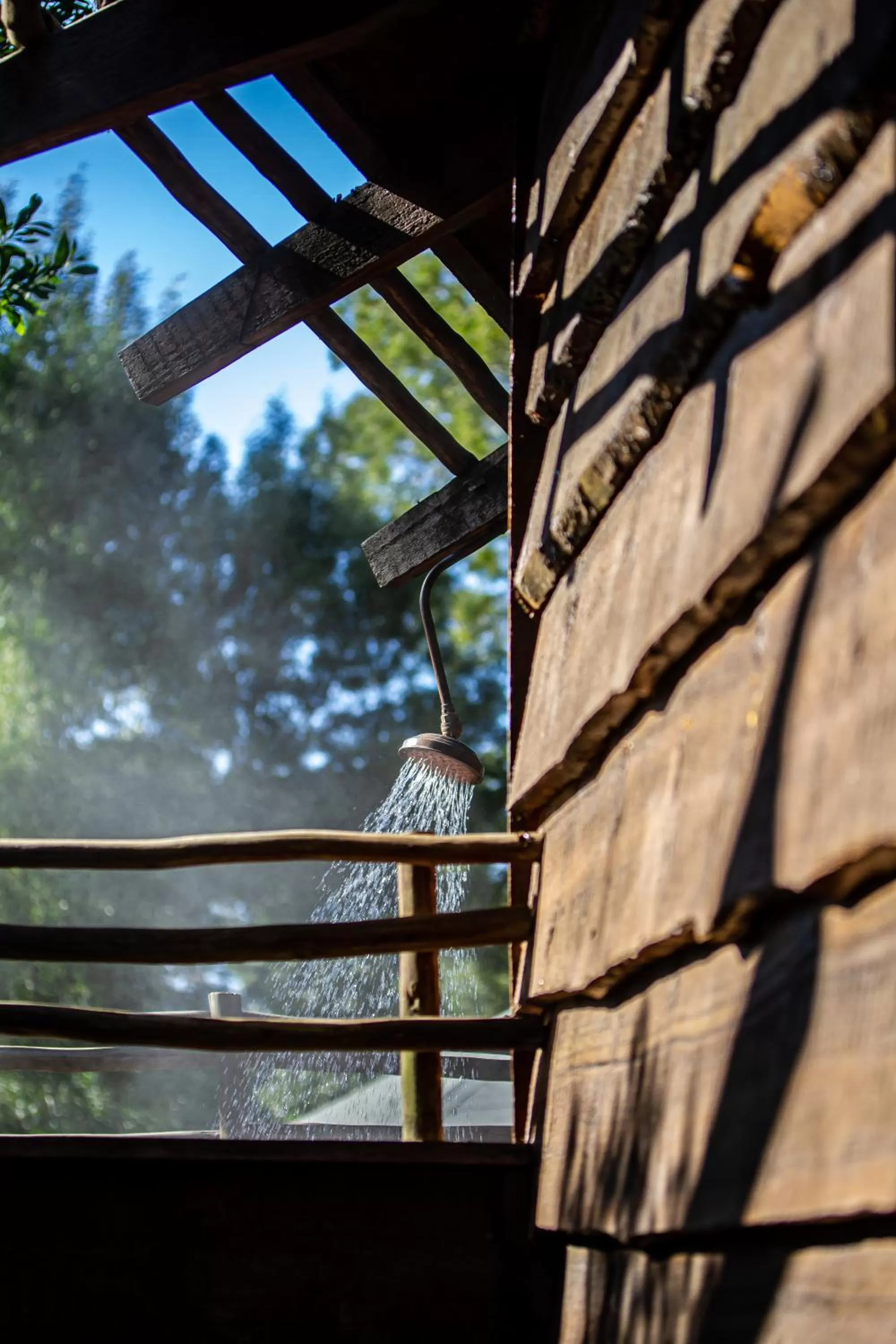 Shower in Tsala Treetop Lodge