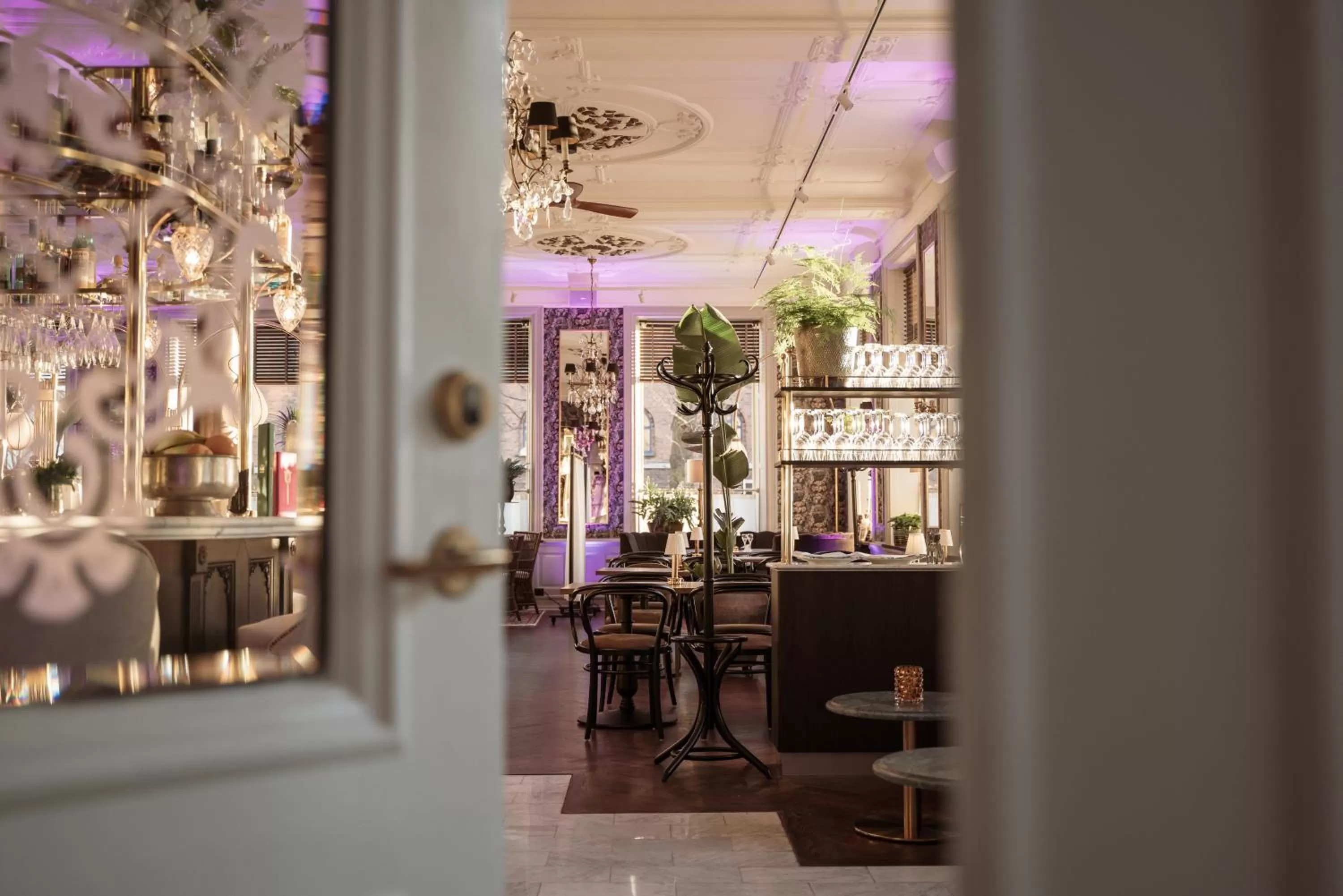 Restaurant/places to eat in Continental du Sud