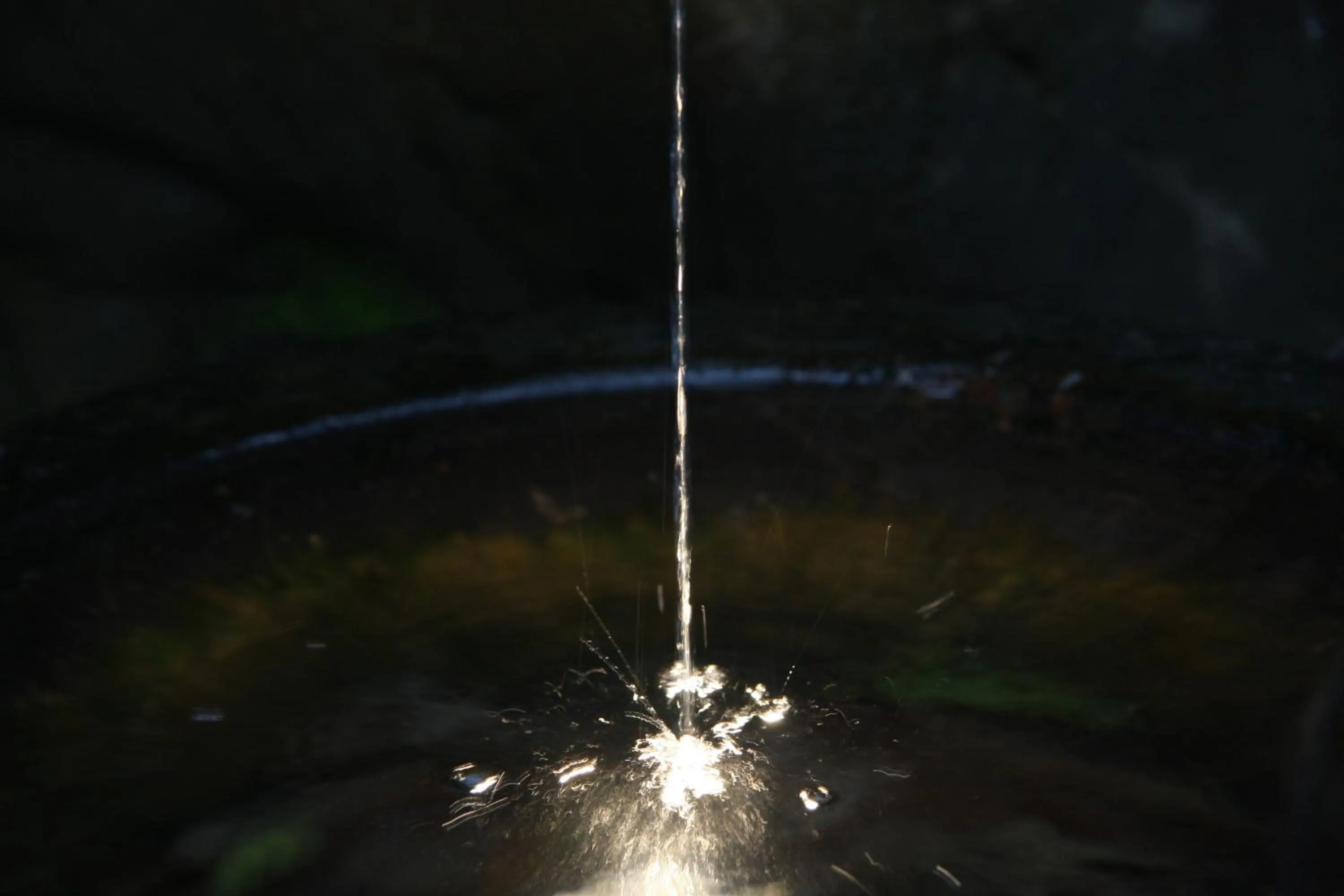 Other in Ryokan Shinsen