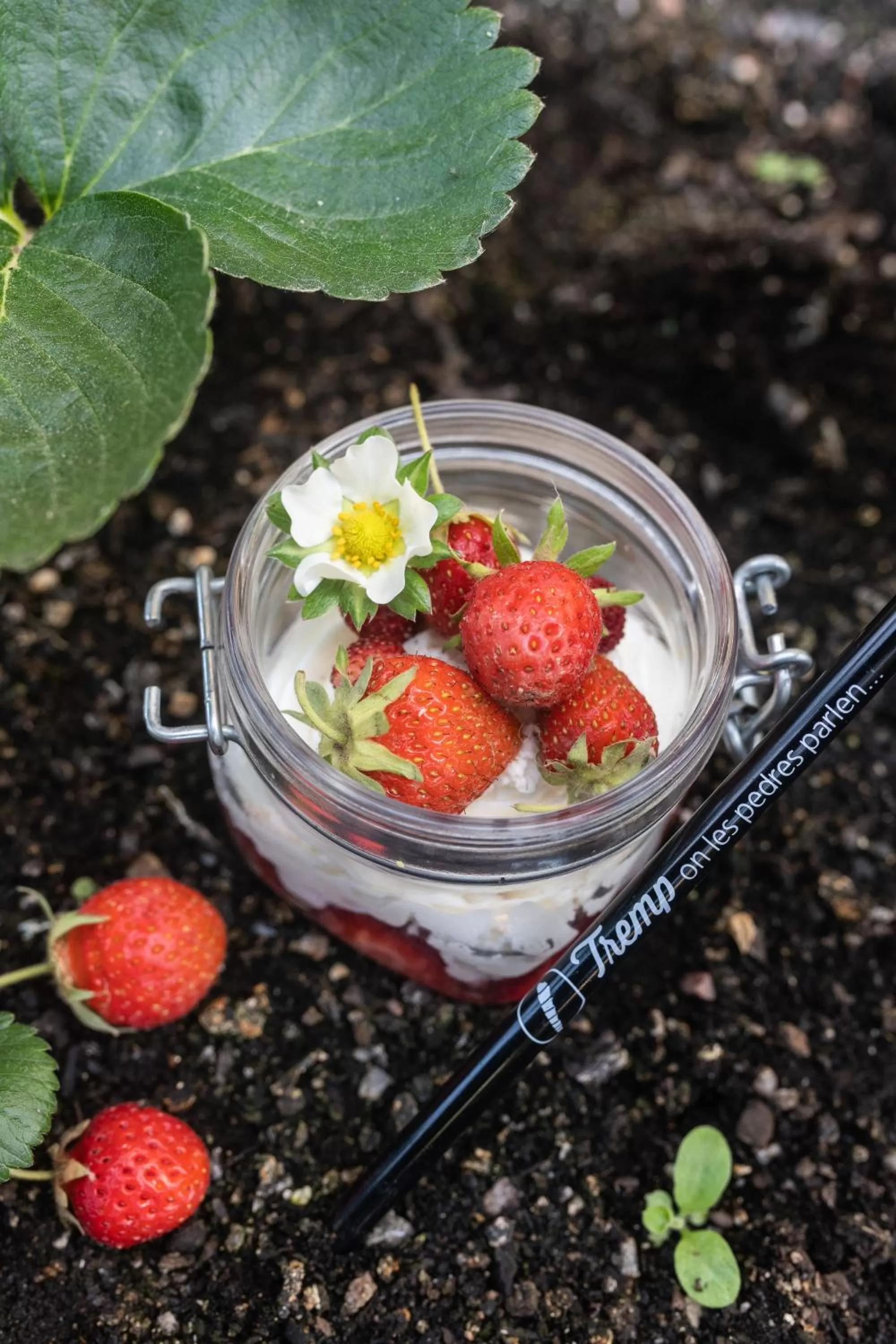 Food close-up in Hostal Buenos Aires