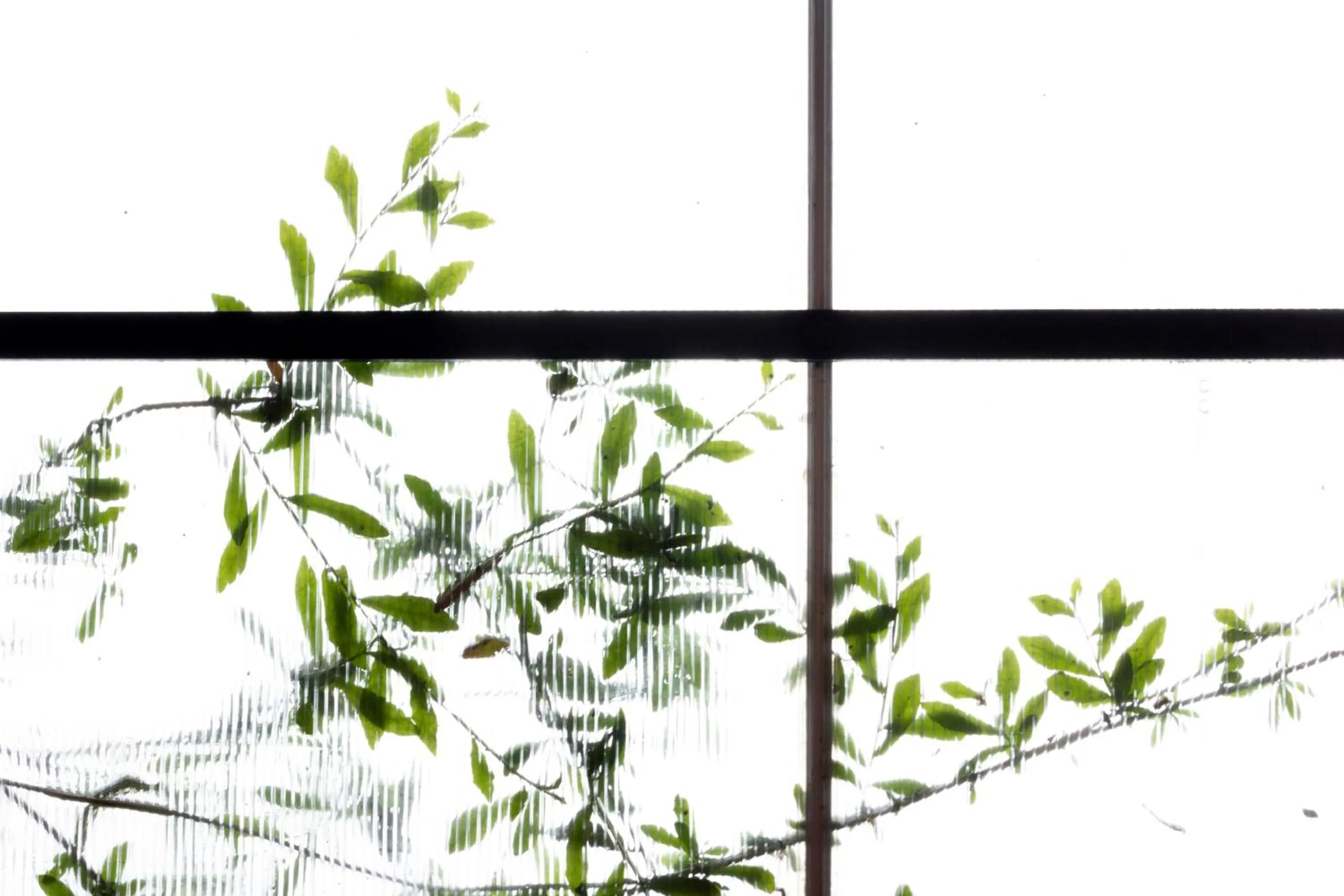 Day in Coucou Homestead I - Homestay & Dorm District 1