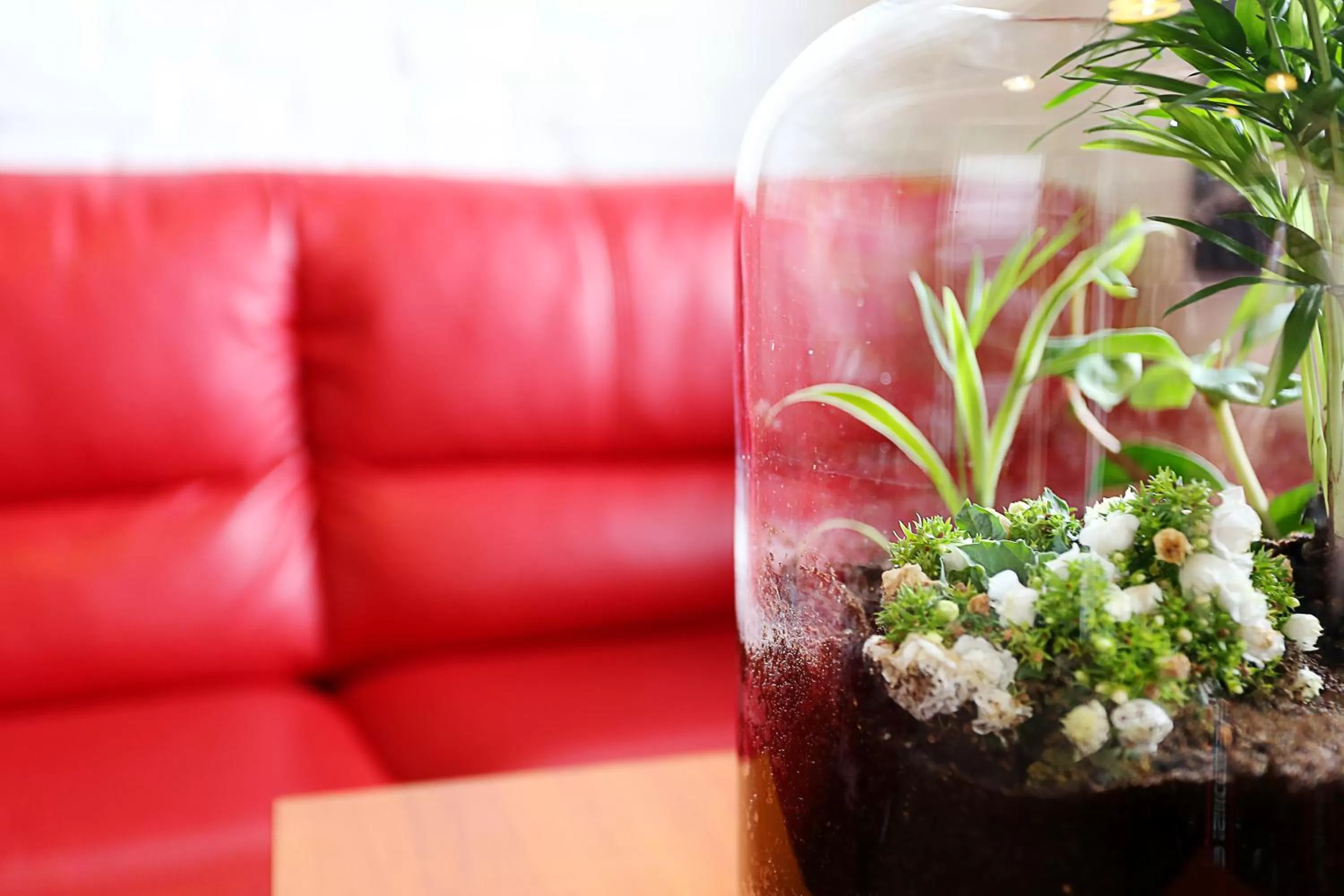 euroHOTEL Sosnowiec Kazimierz