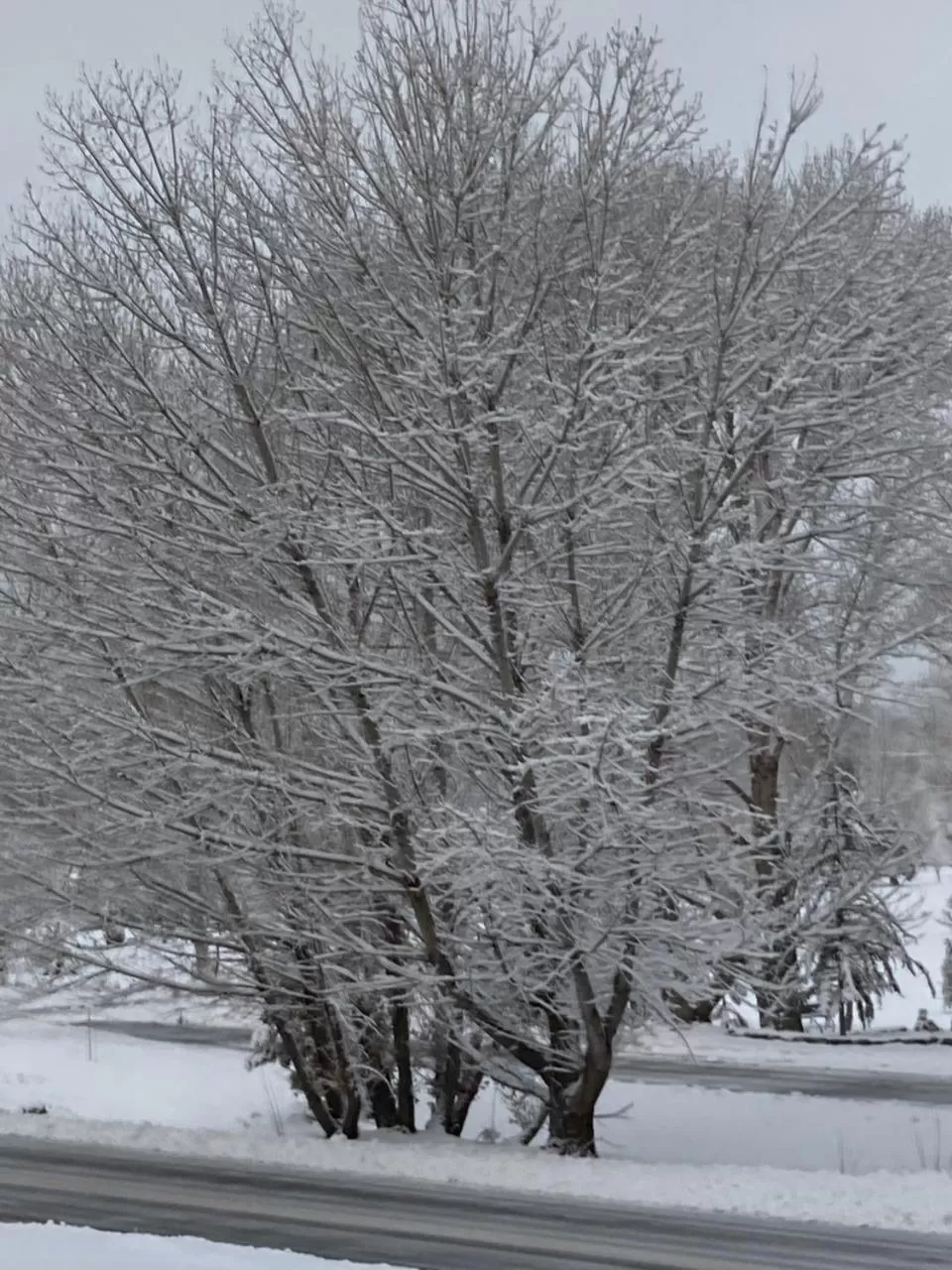 Property building in The Old Bear BnB