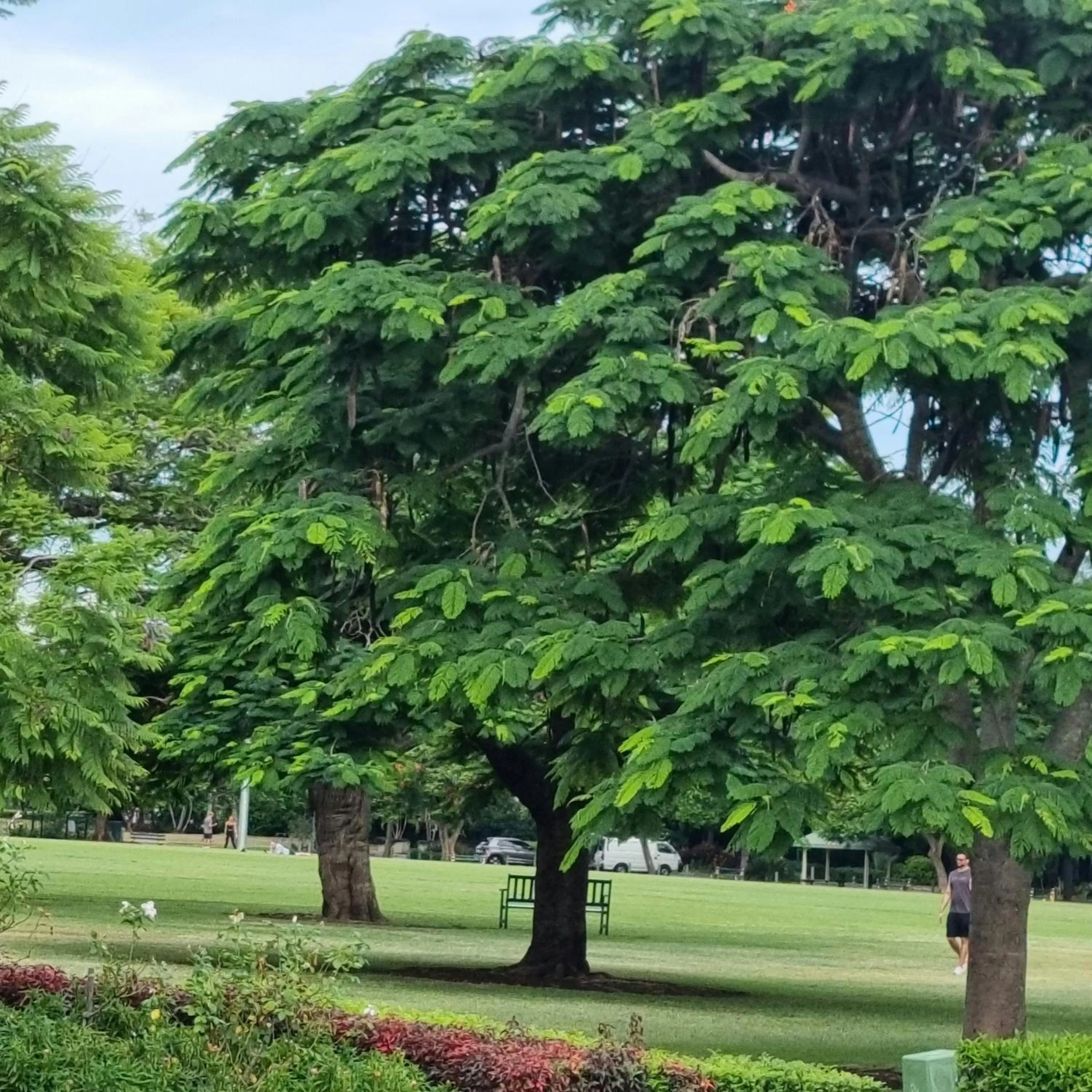 Nearby landmark in Edward Lodge New Fam