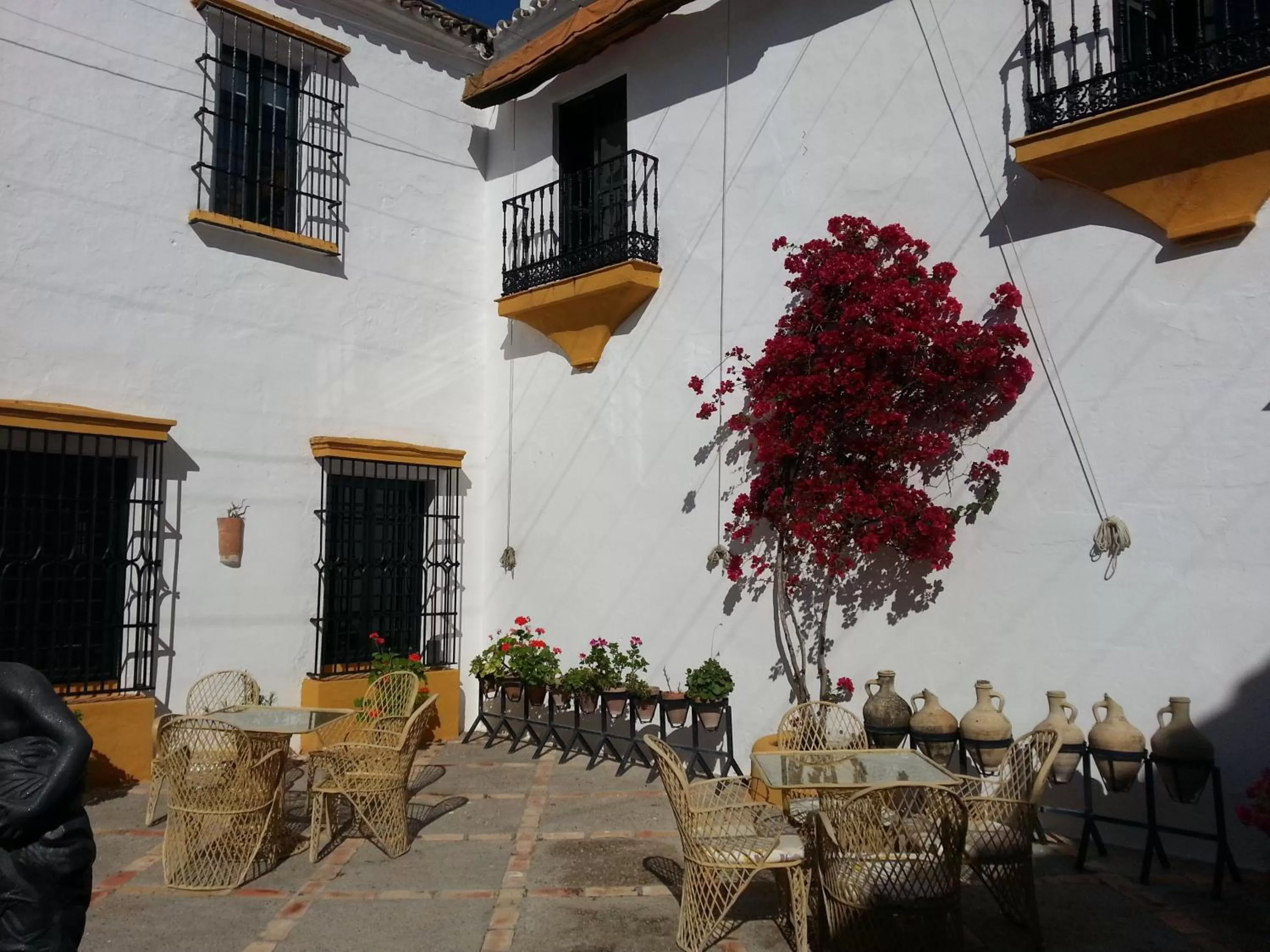 Patio in Hacienda El Santiscal