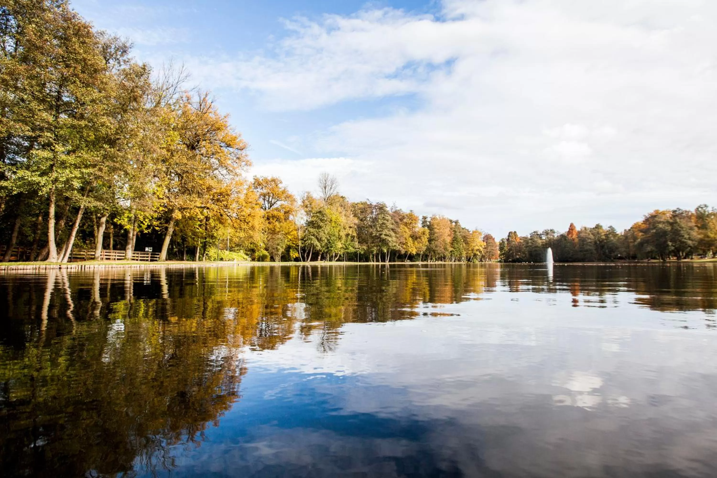 Natural landscape in M Hotel