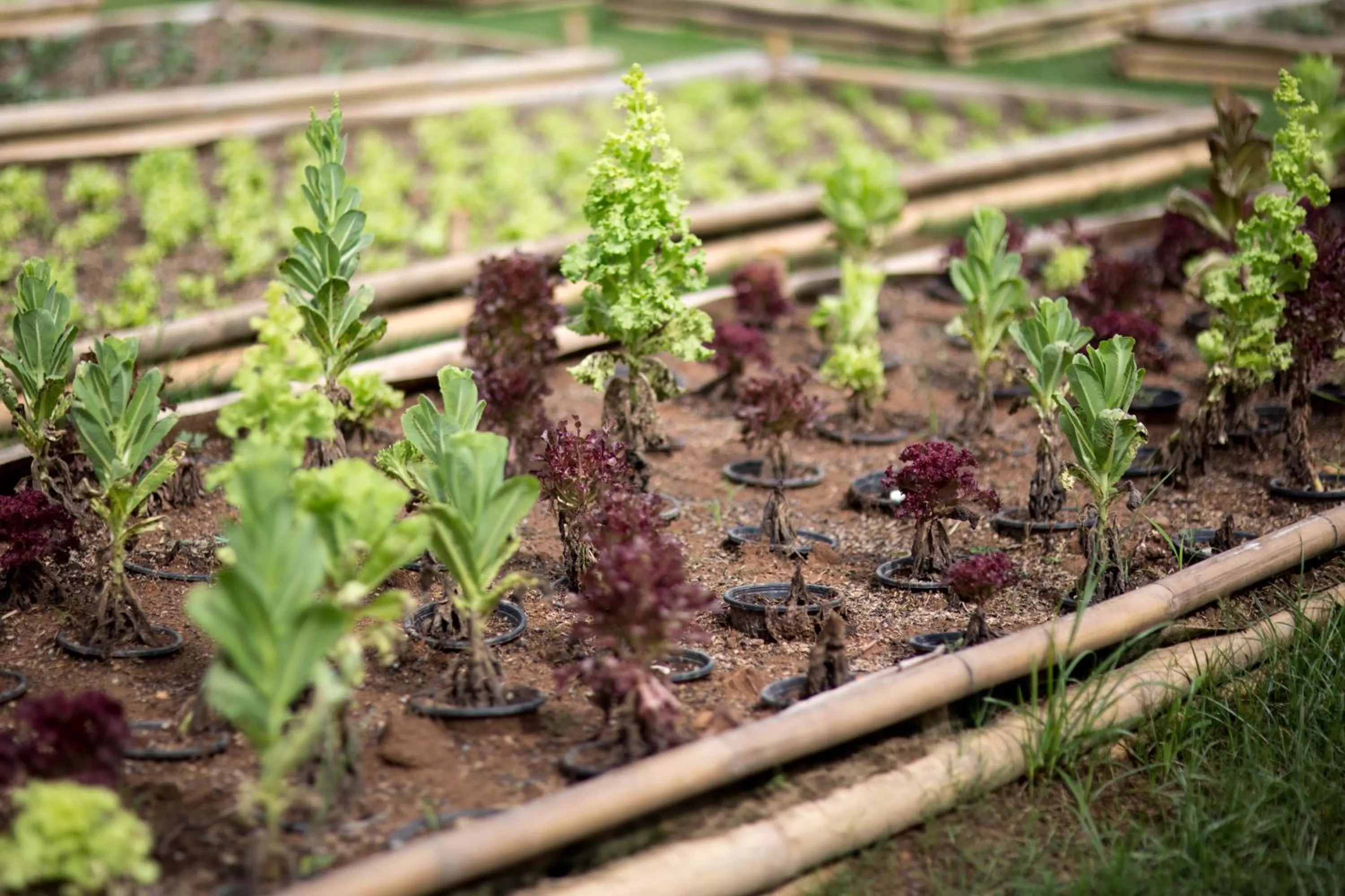 Property building in North Hill City Resort