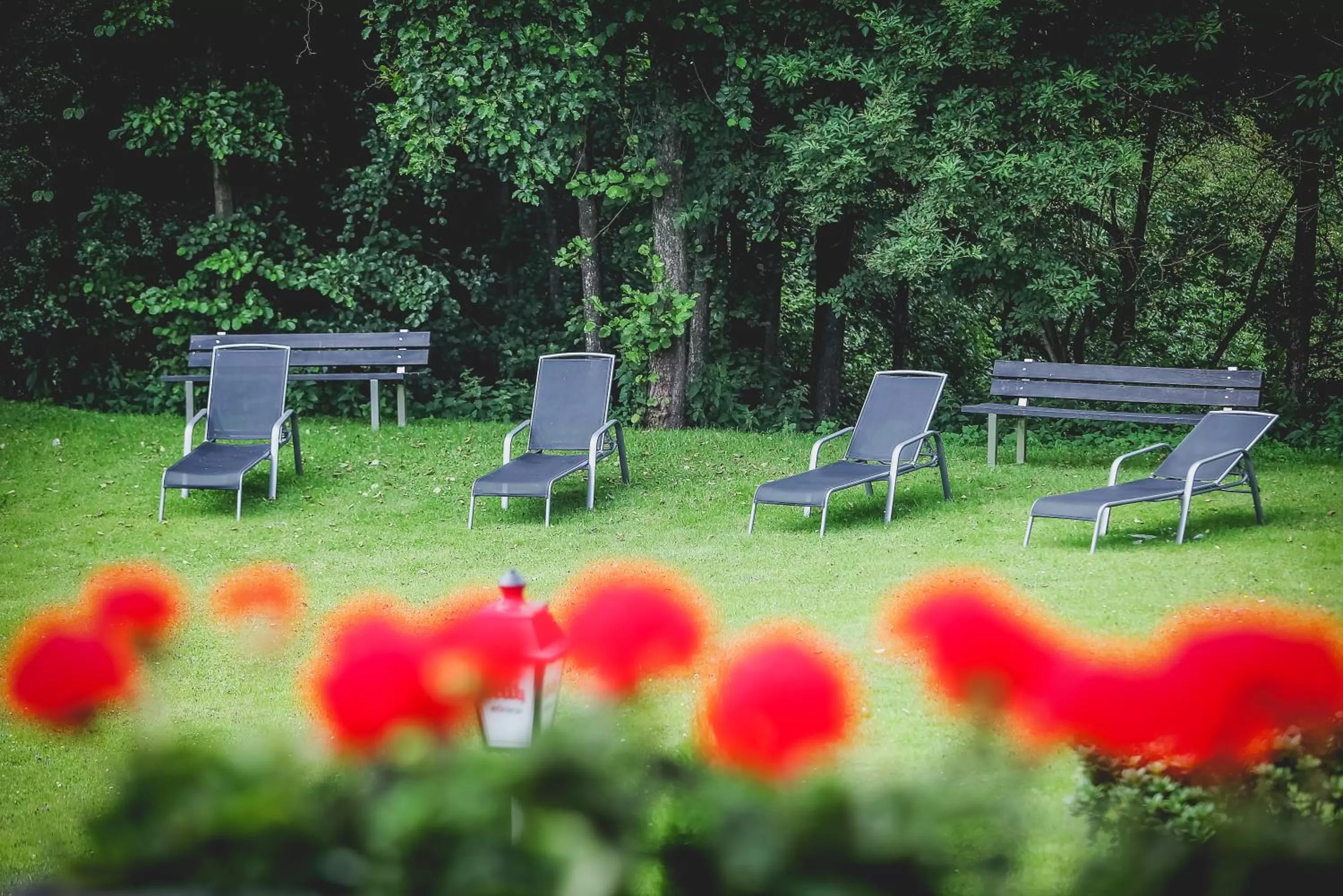 Garden in Bierenbacher Hof
