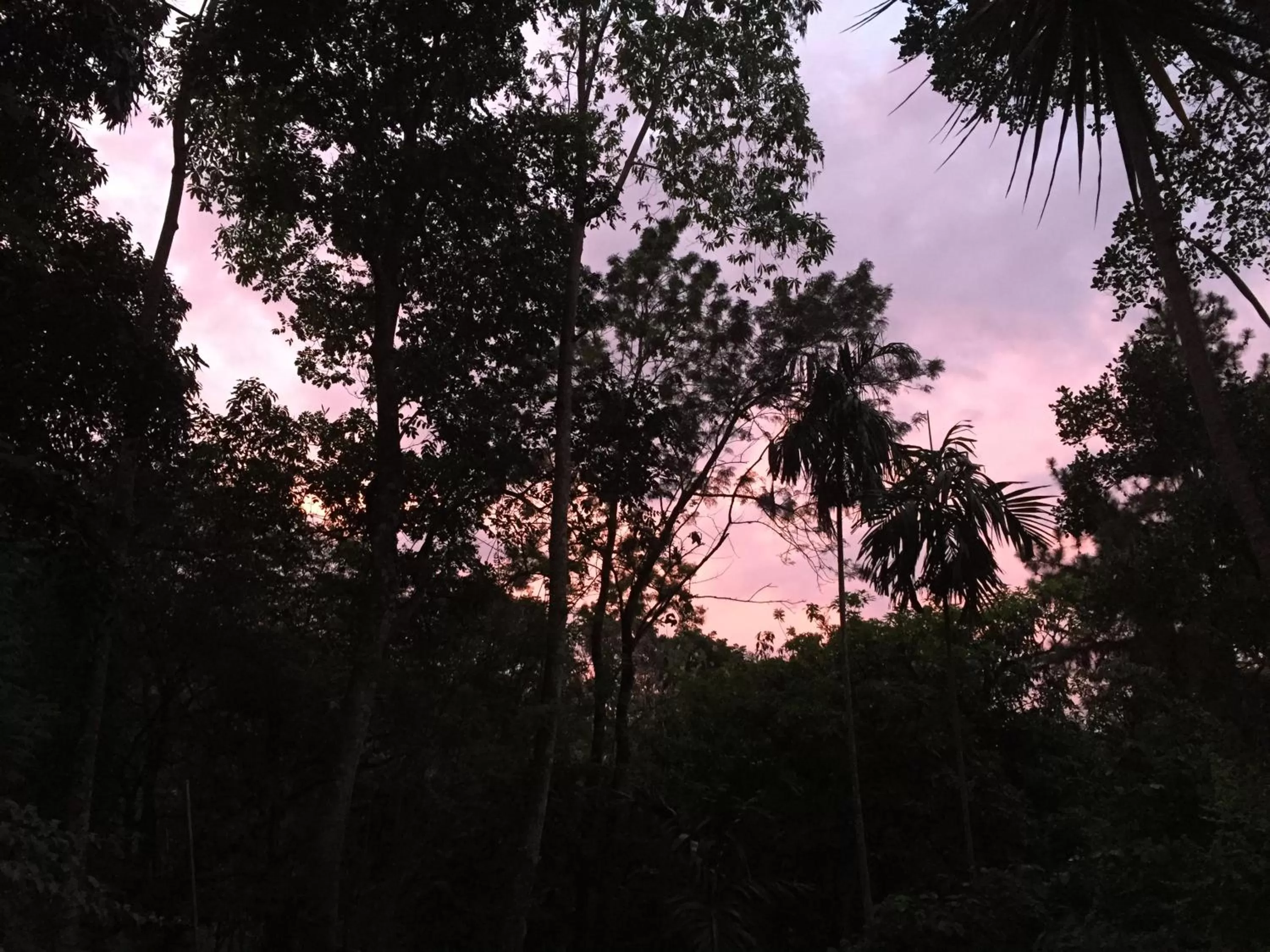 Natural landscape in Le leopard d 'argent