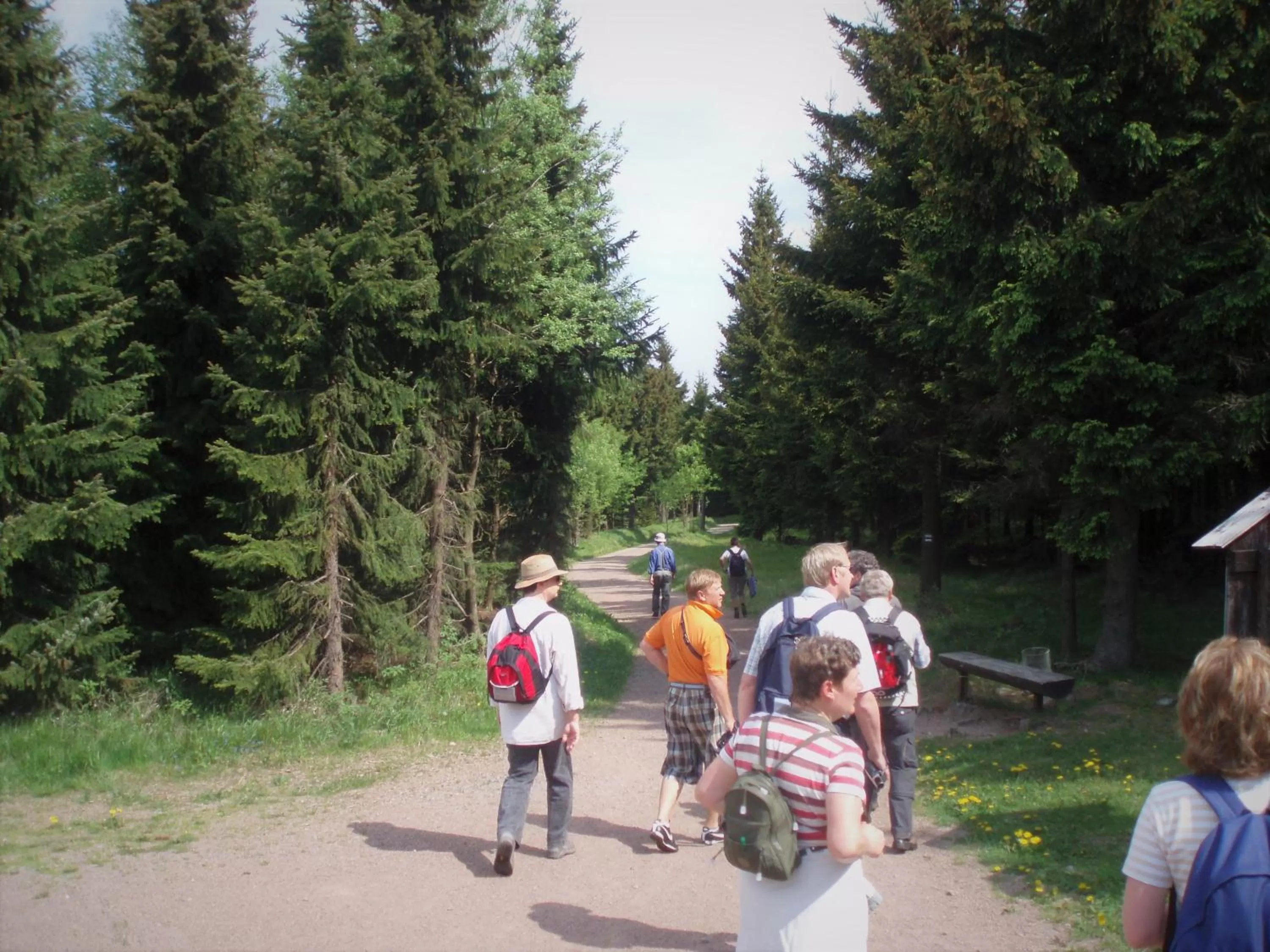 Hiking in Hotel Lugsteinhof