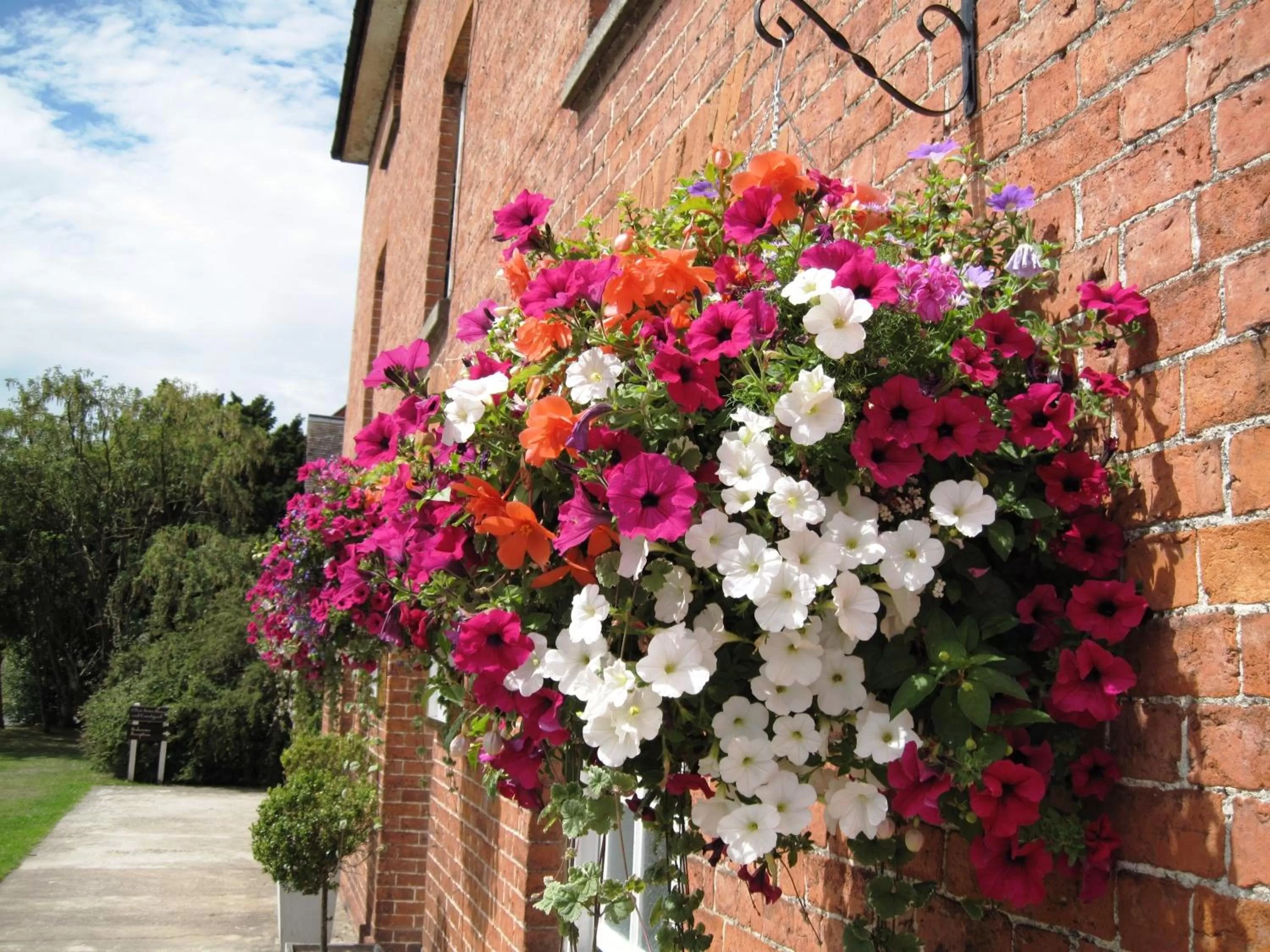 Facade/entrance in The Clive Arms