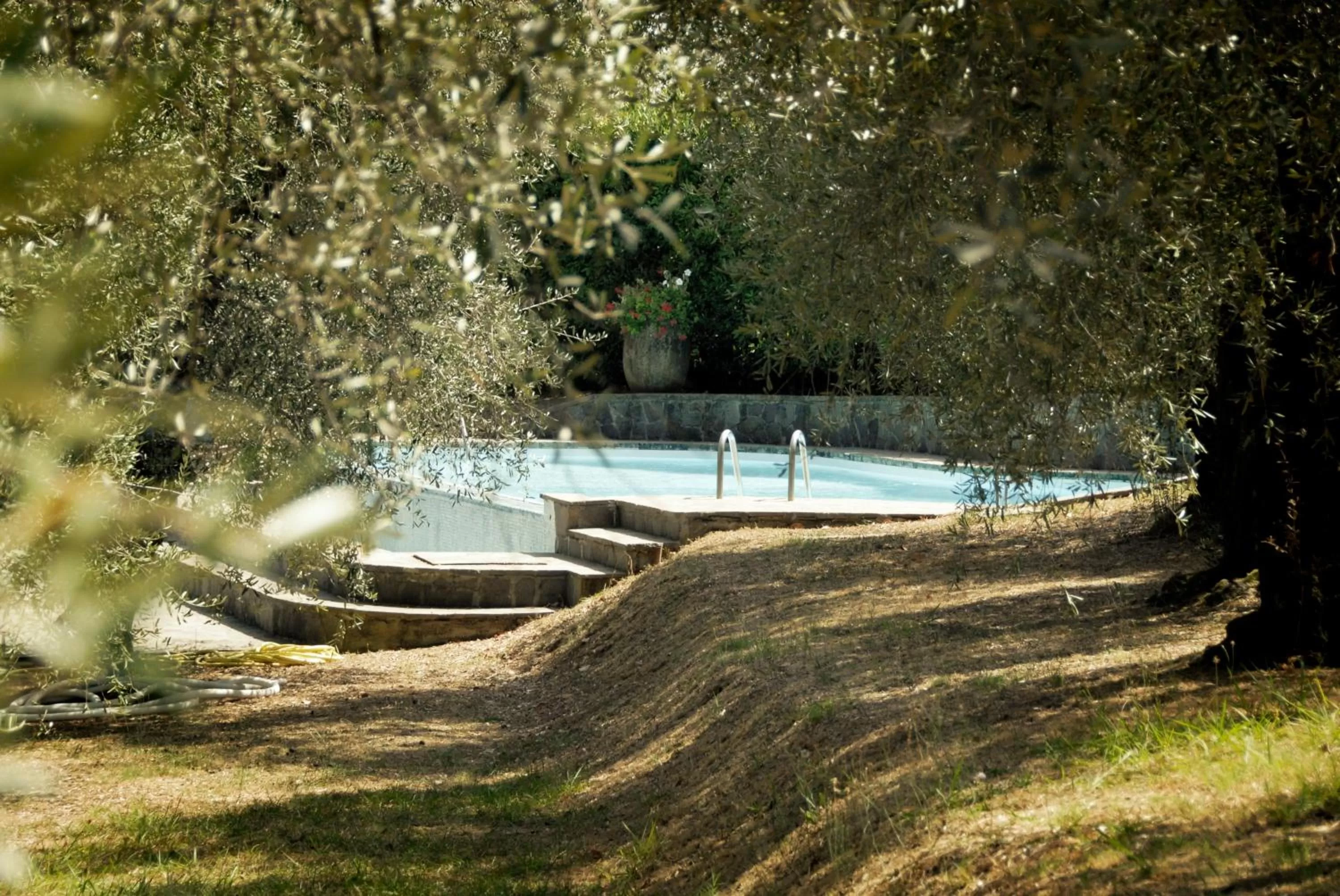 Swimming pool in Casa del Pino