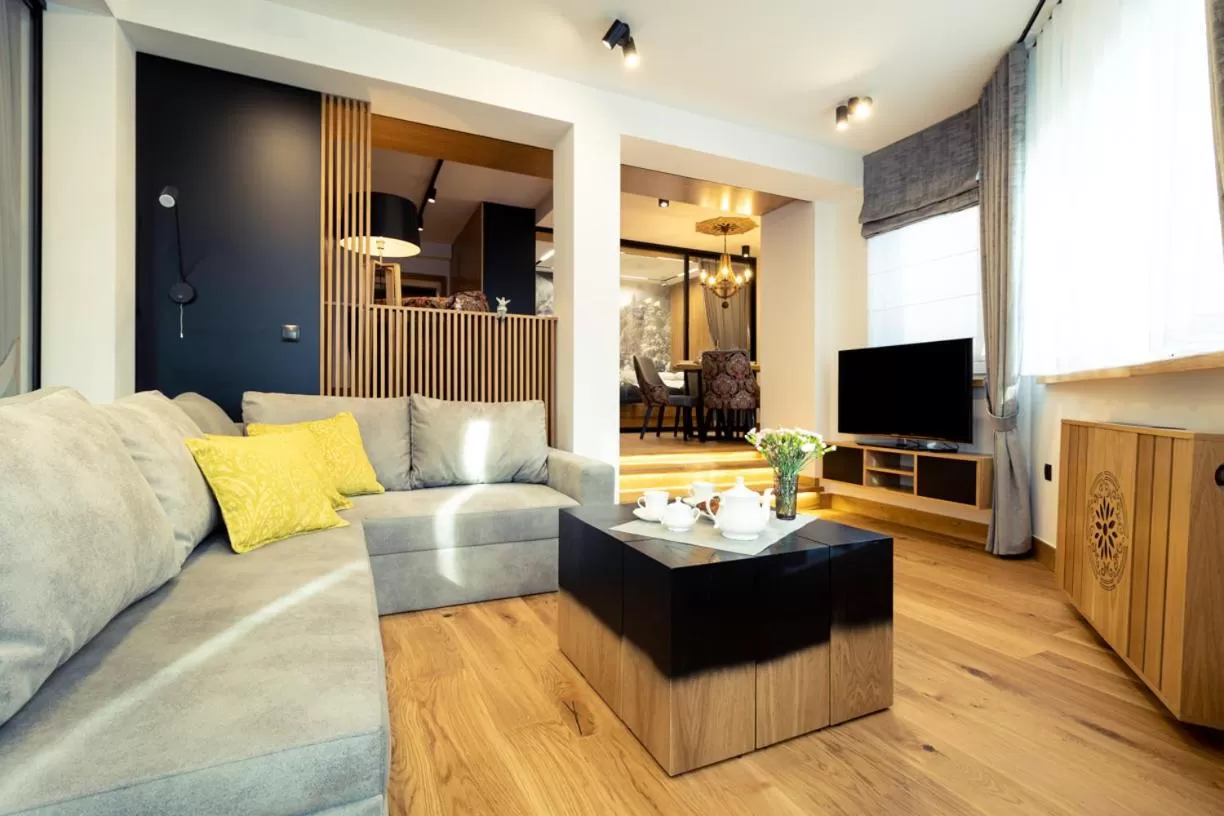 TV and multimedia, Seating Area in Jagiellońska Residence