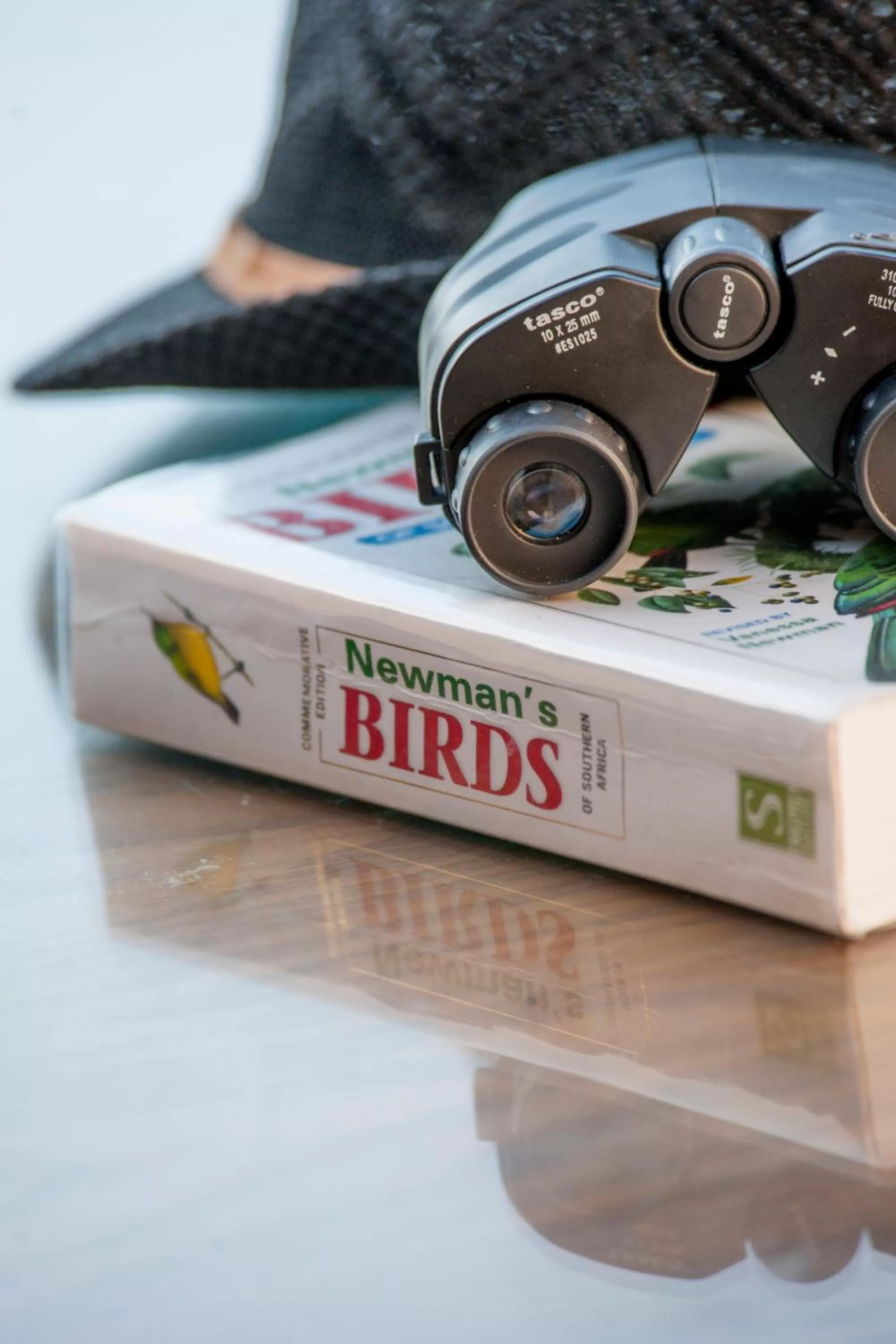 Property Logo/Sign in Panoramic Blue B&B