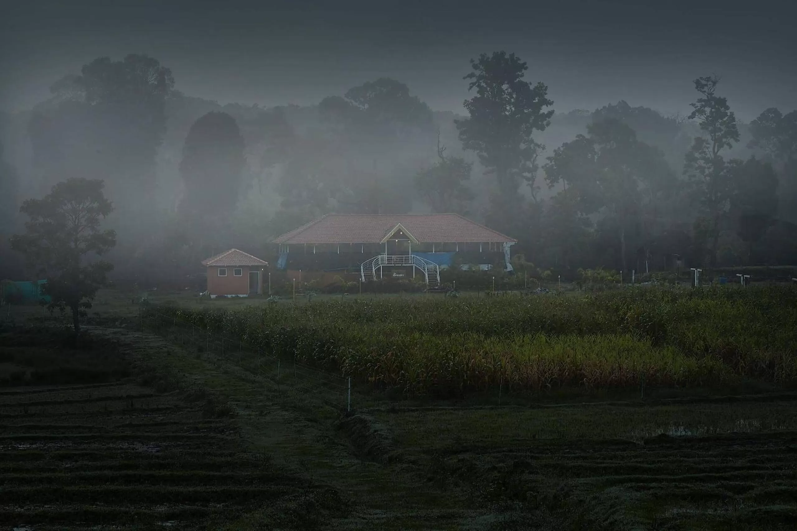 Coffee/tea facilities in Sixth Element