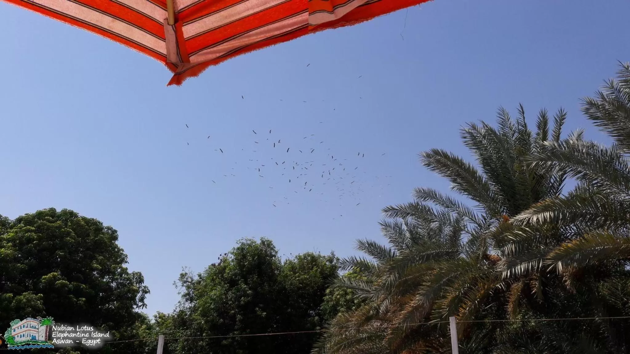 Property building in Nubian Lotus