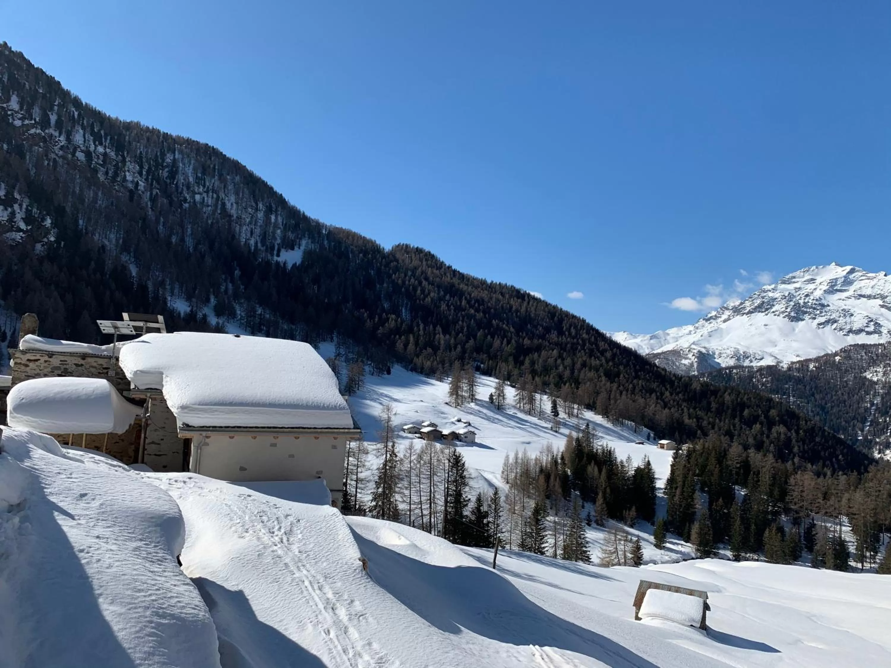 Hiking in B&B Berninapass- Bernina Experience
