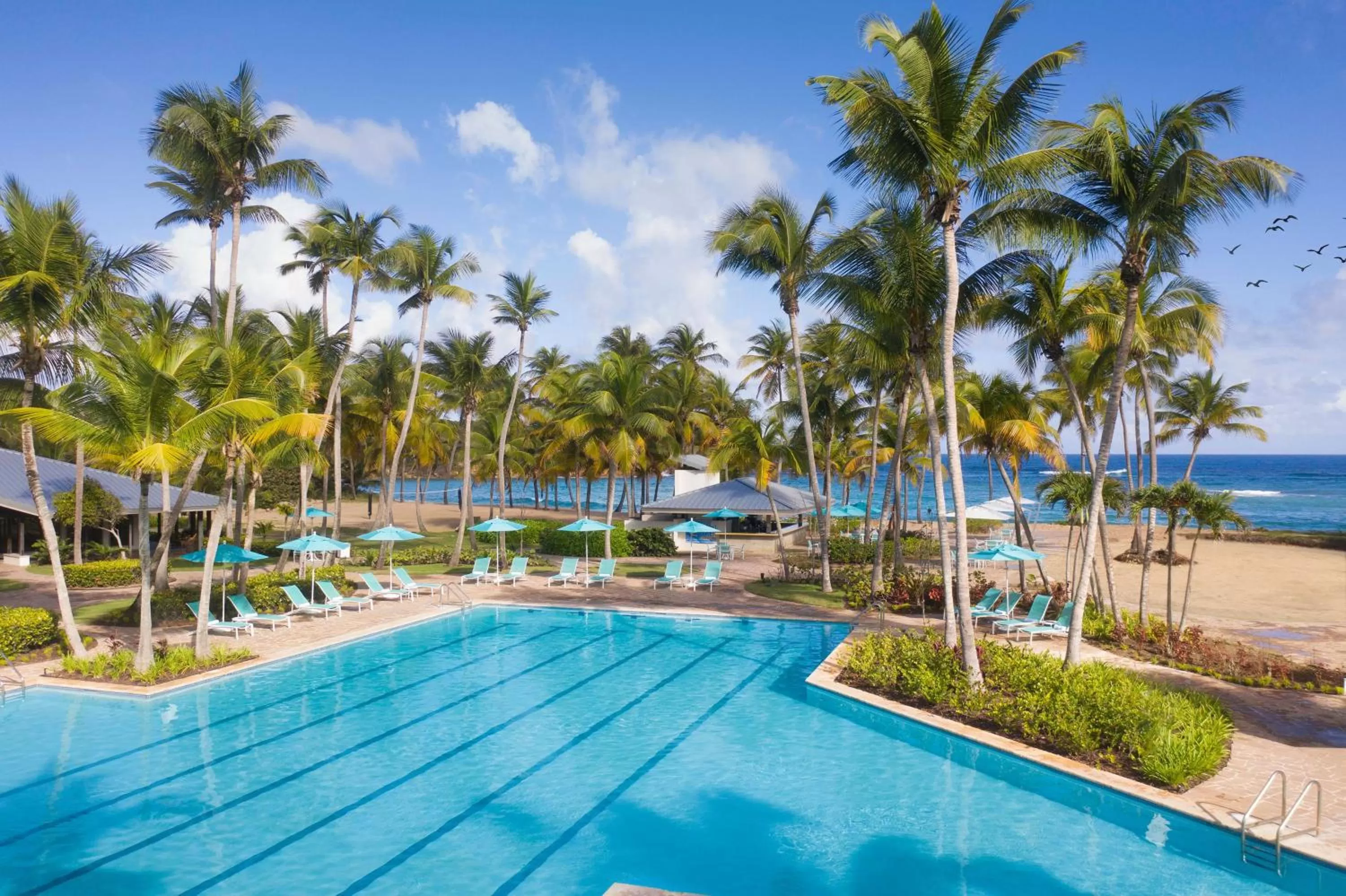 Restaurant/places to eat in Hyatt Vacation Club at Hacienda del Mar