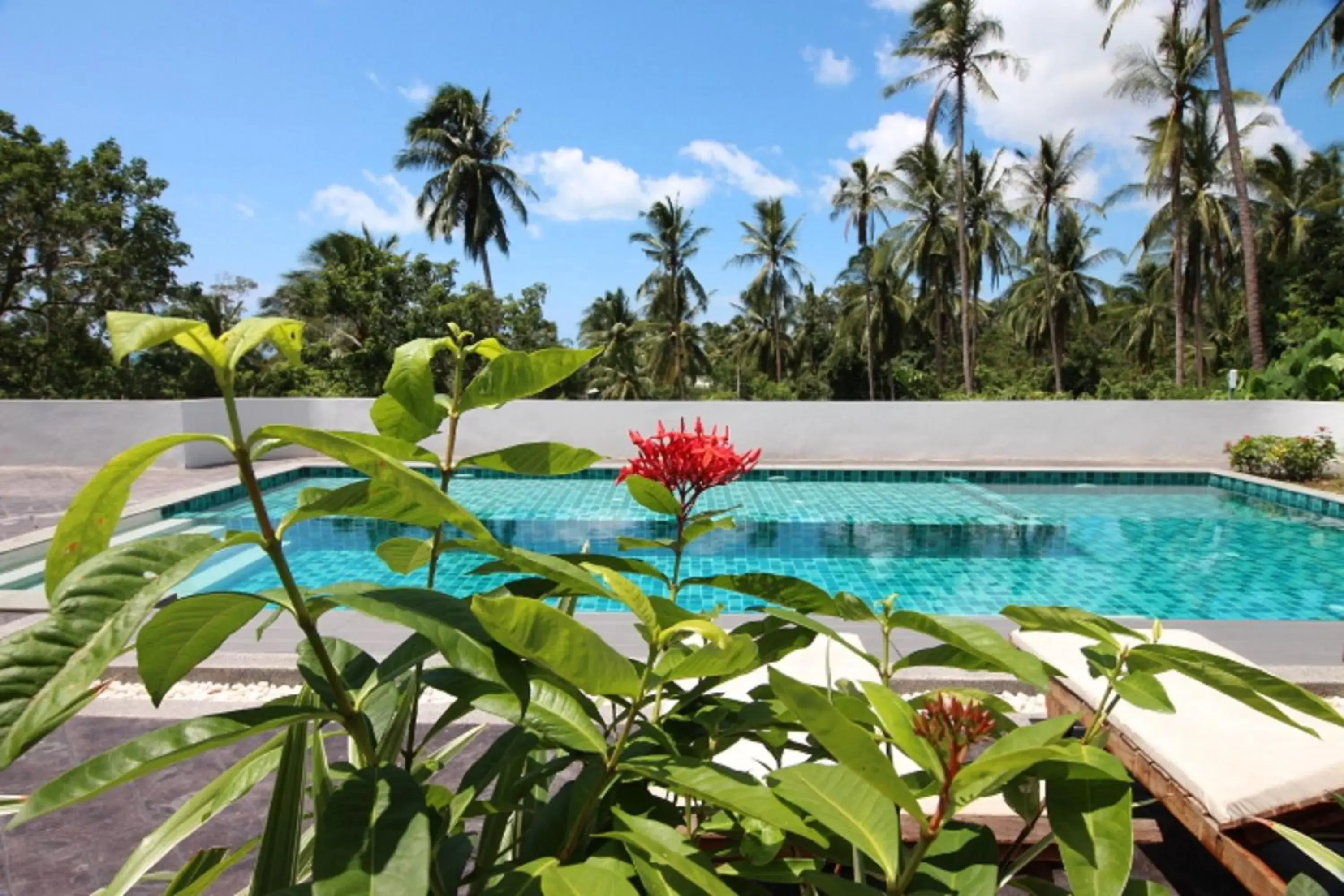 Studio with Pool View in Tropical Sea View Residence Studio with Pool View in Tropical Sea View Residence