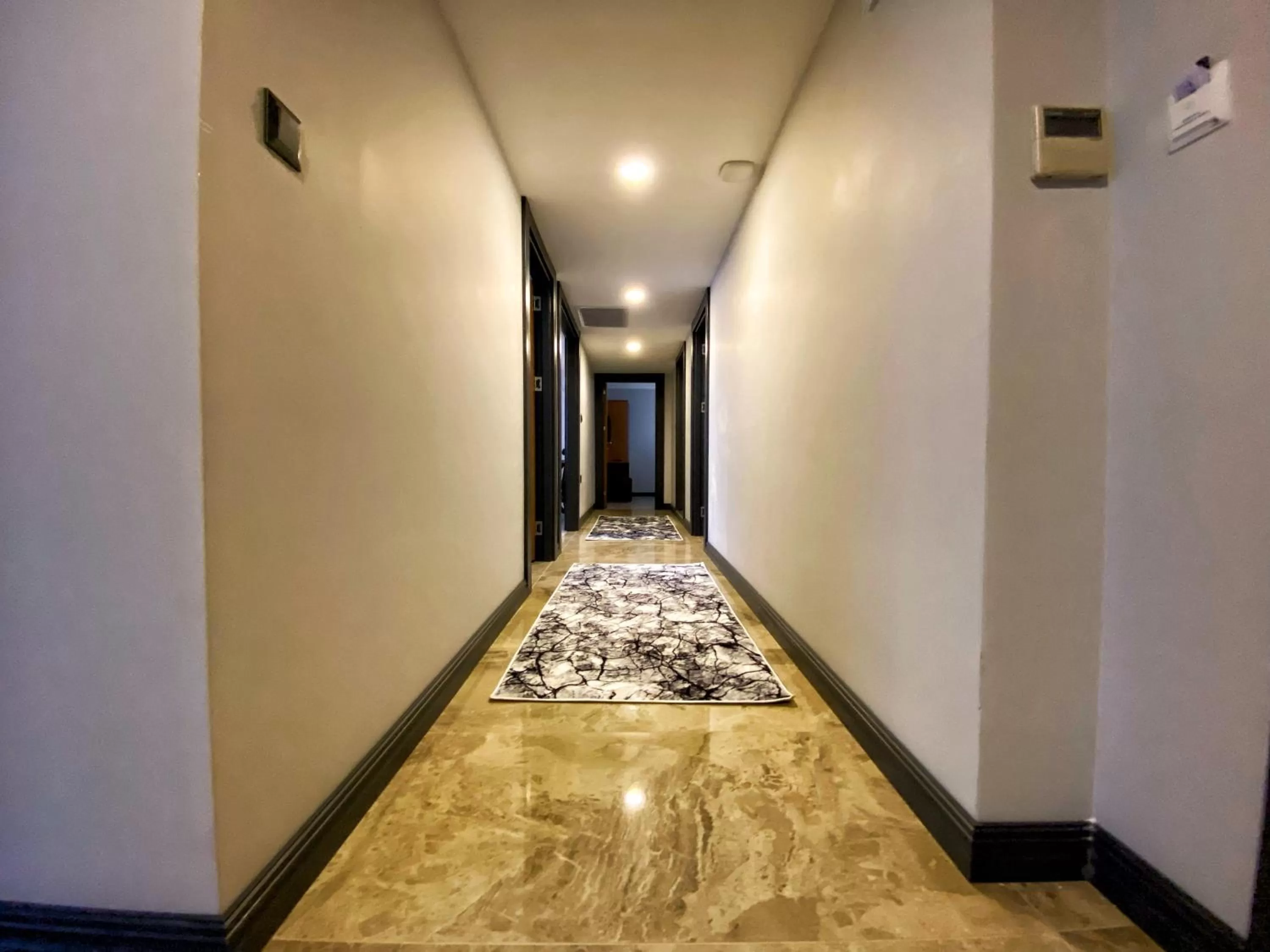 Other in My House Suite