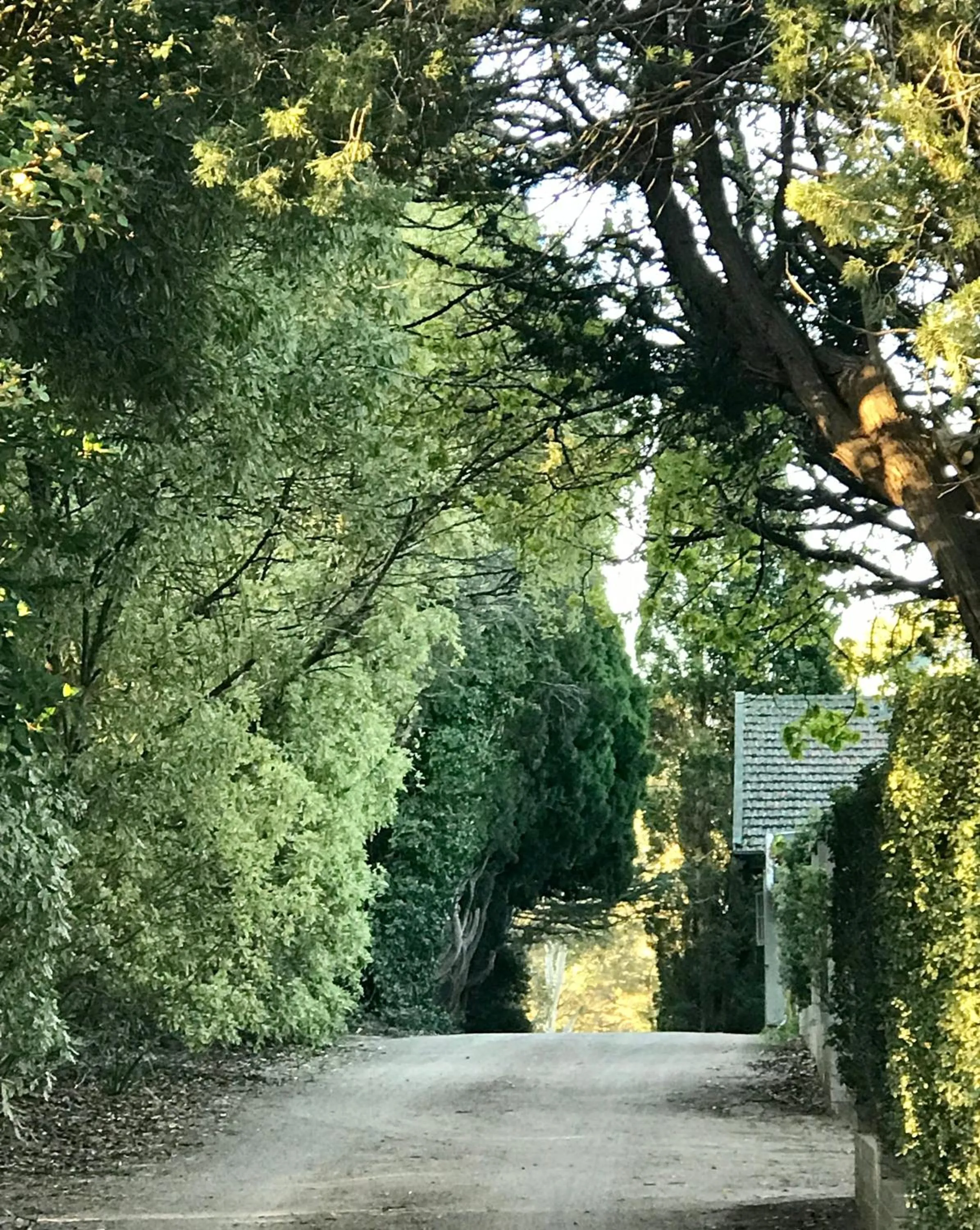 Property building in Links House