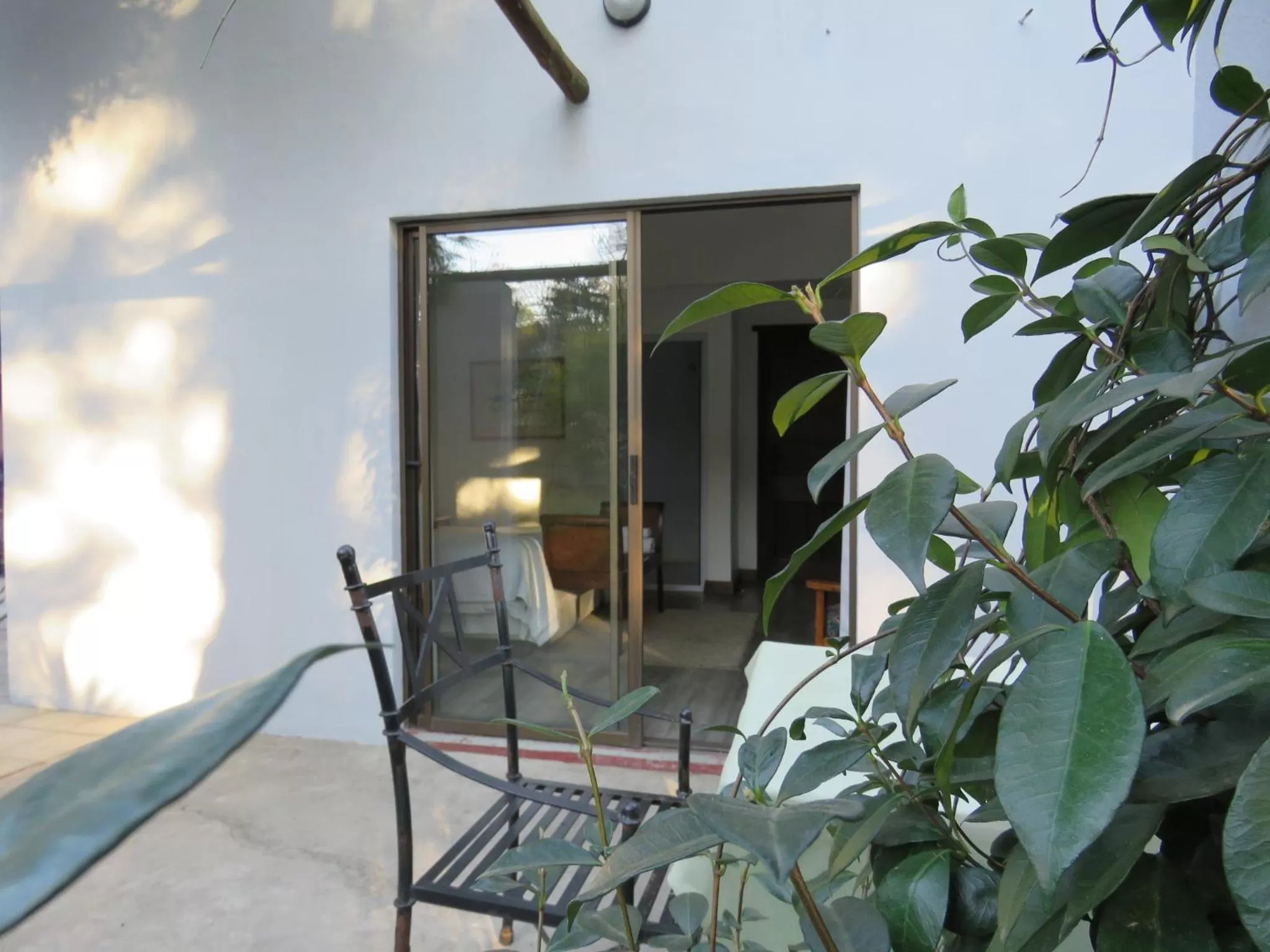 Garden in Jedidja Bed and Breakfast