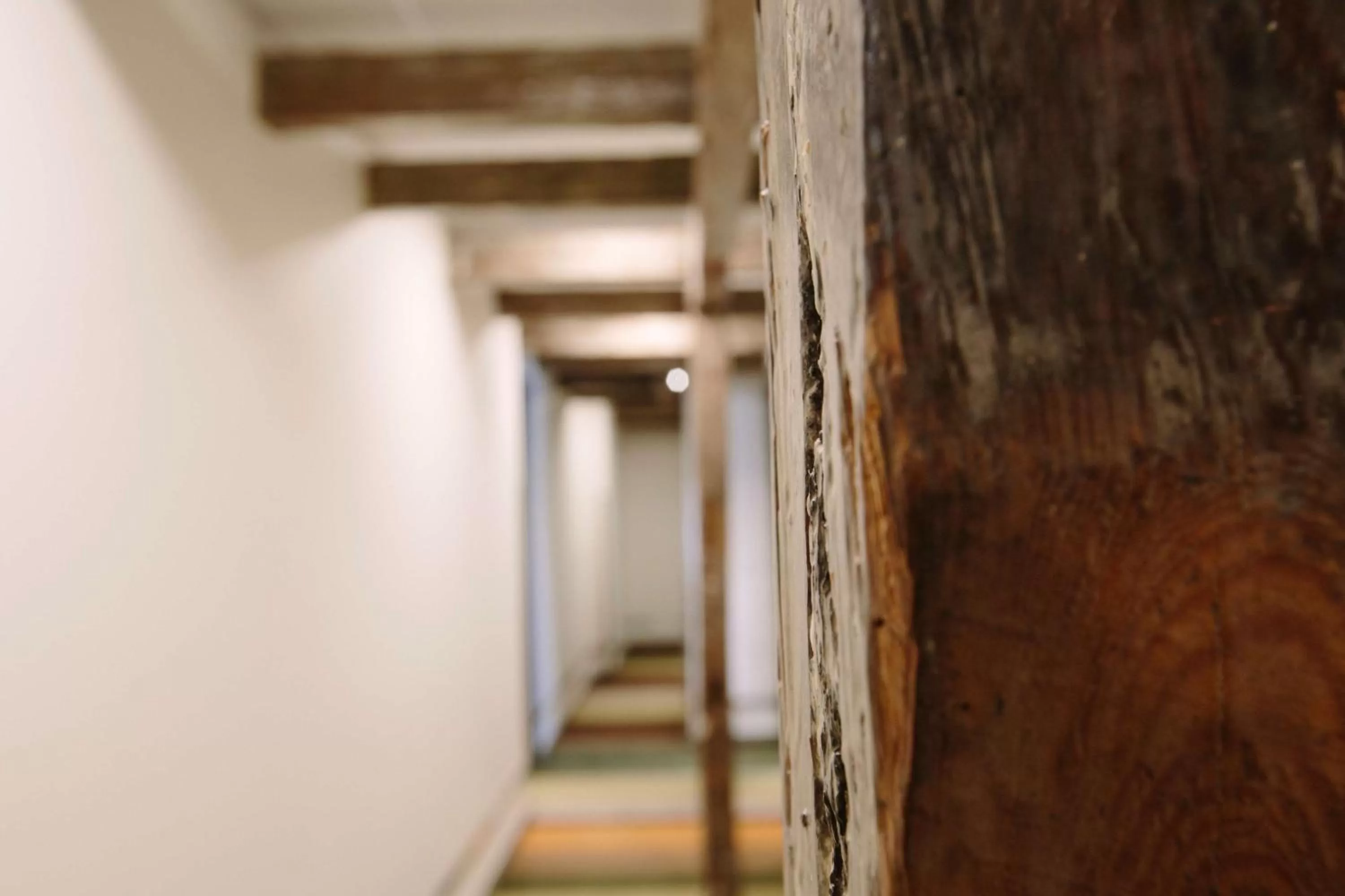 On site in Best Western Plus Hotell Nordic Lund