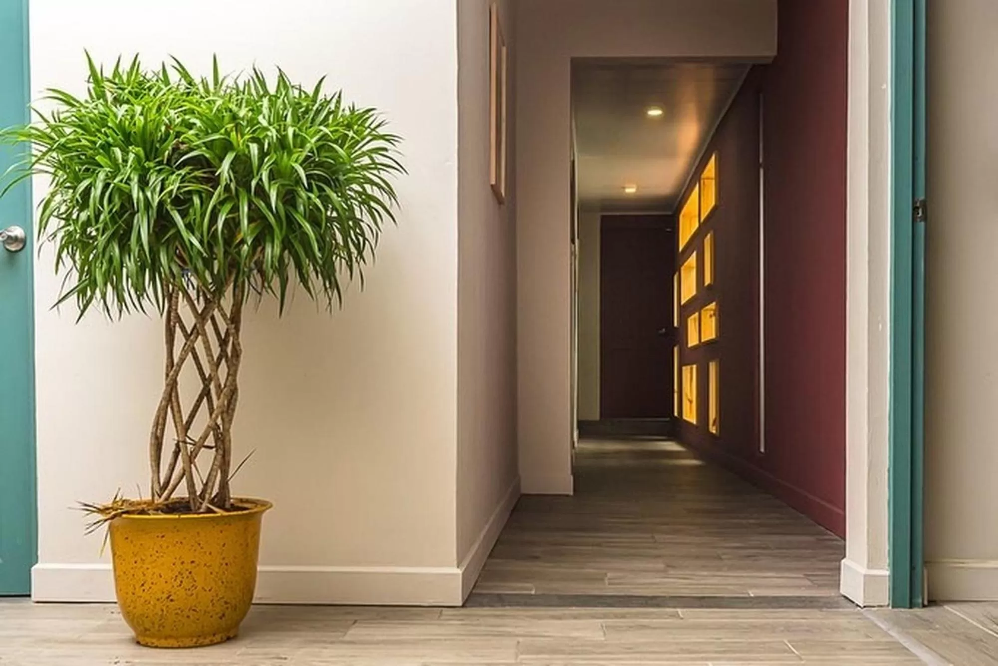 Property building in Hotel Otoya 1907 Downtown