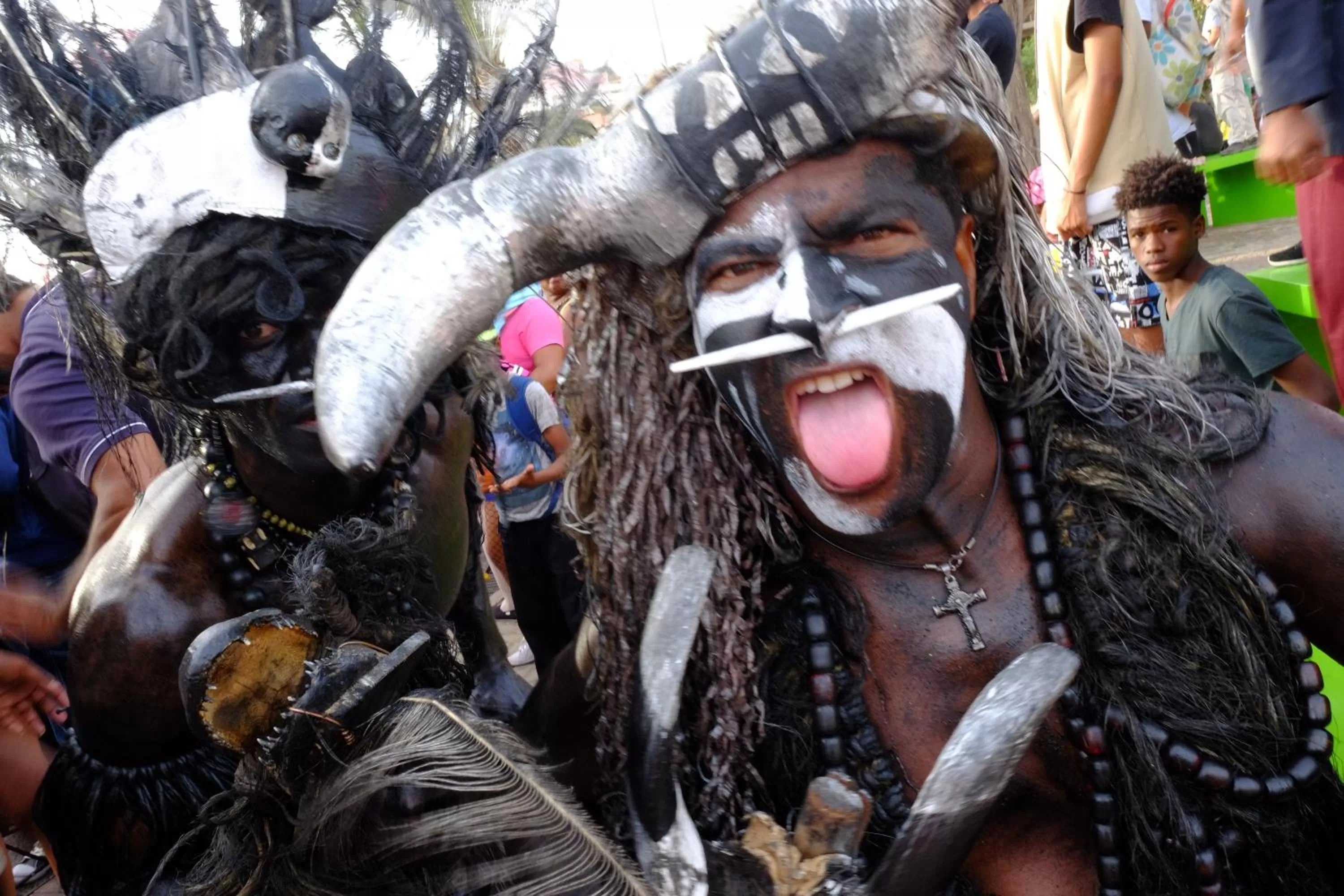 Off site, Other Animals in Casa Comba