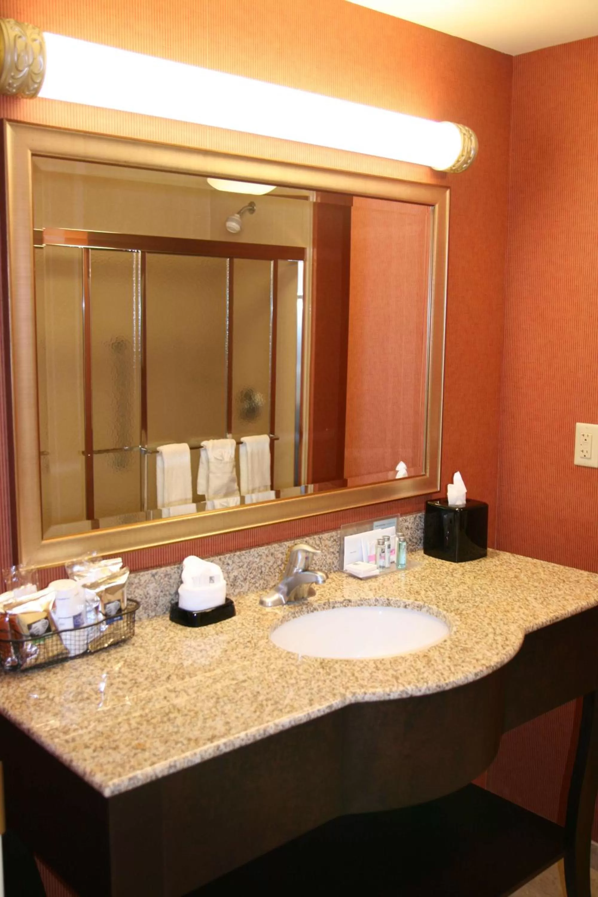 Bathroom in Hampton Inn Jacksonville