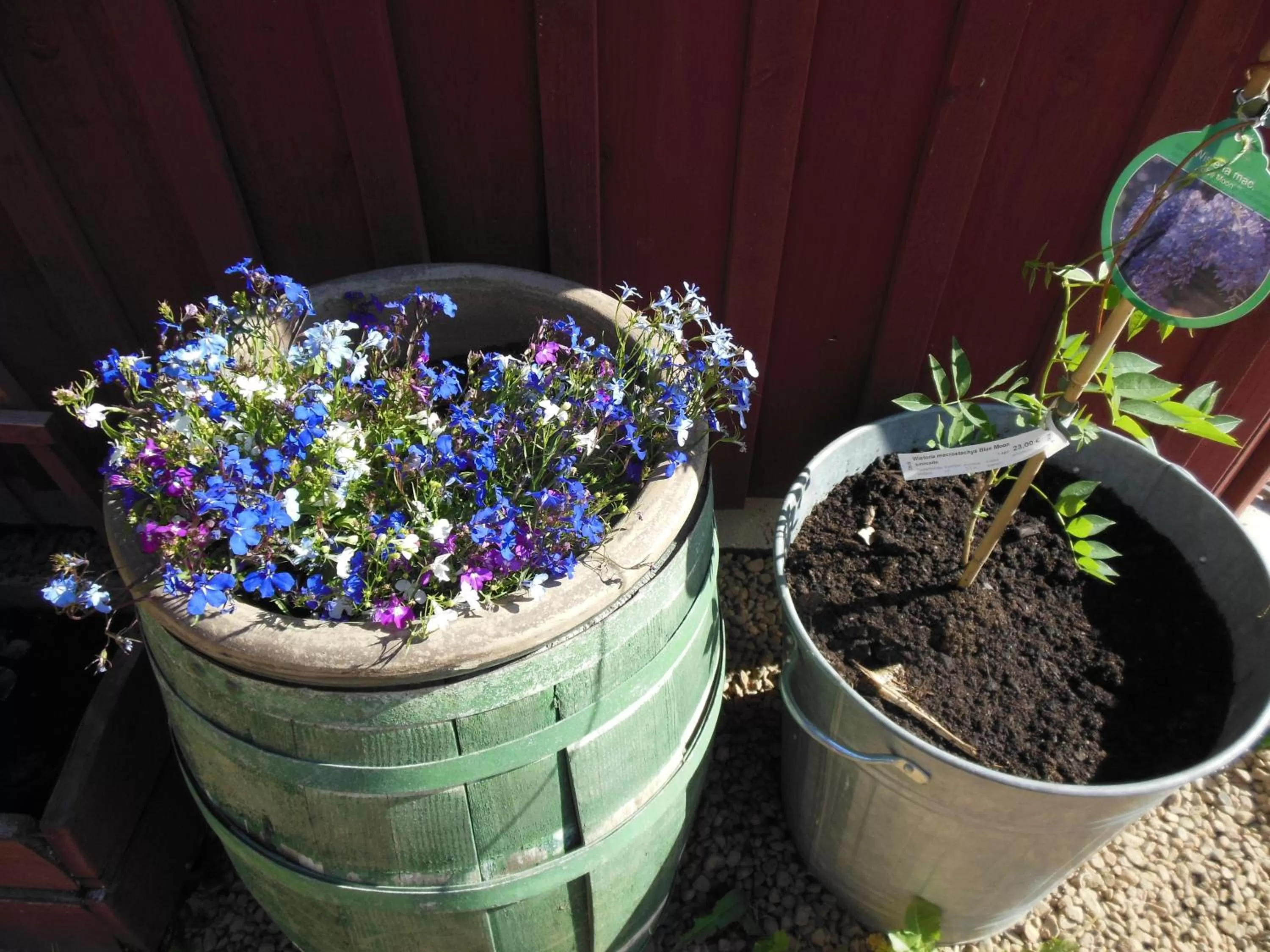 Other in Hotel & Cafe Lanterna