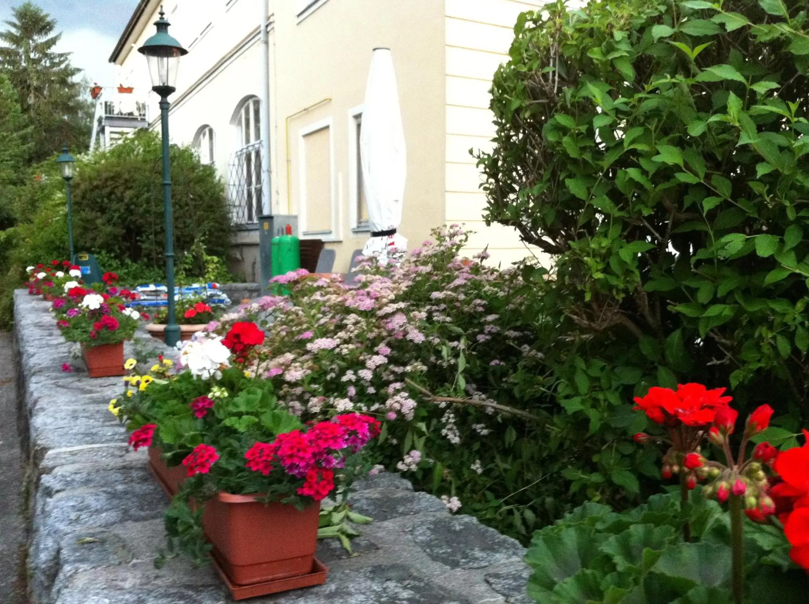 Garden in Babenbergerhof