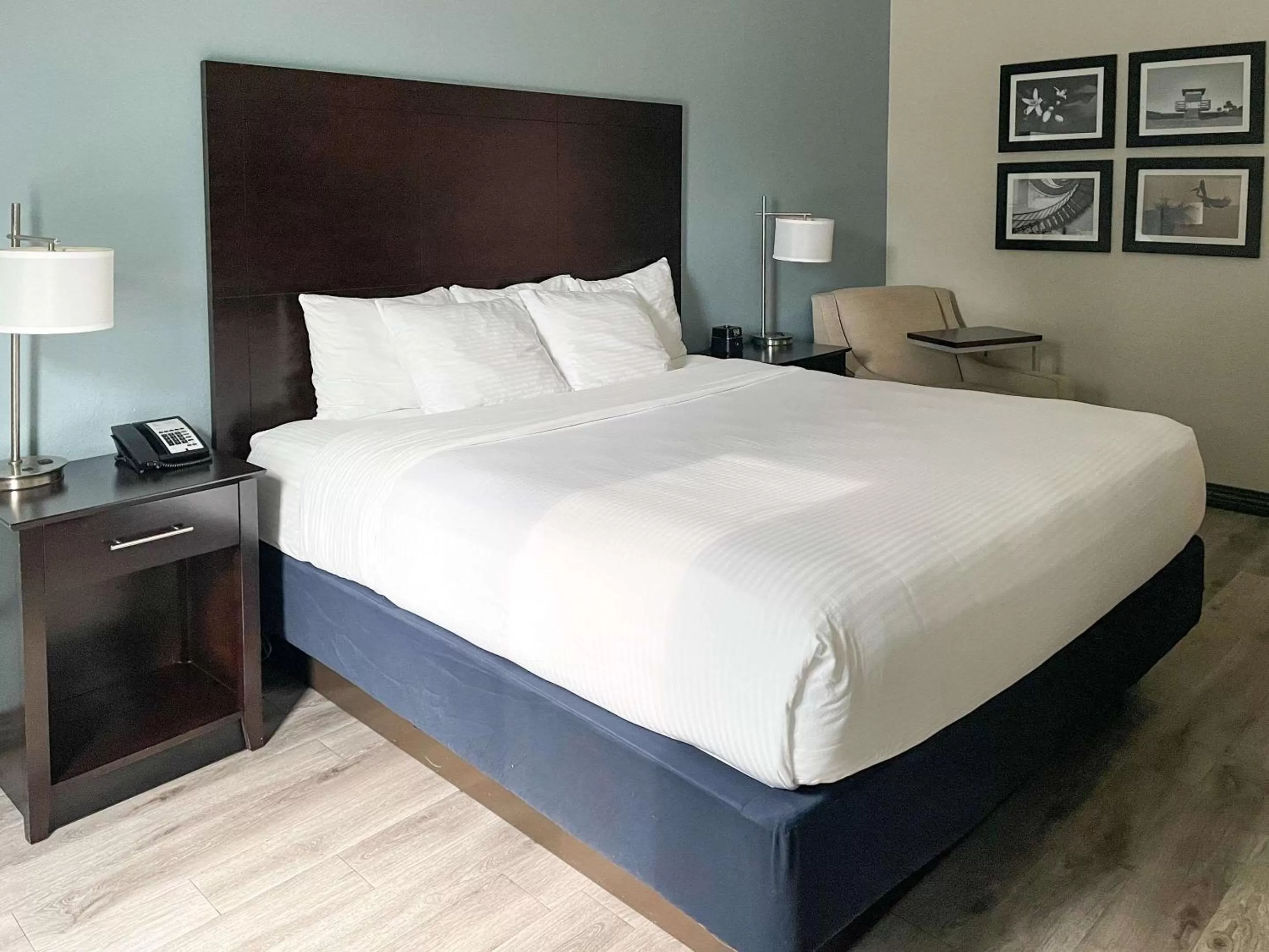 Photo of the whole room, Bed in Comfort Inn & Suites Melbourne-Viera