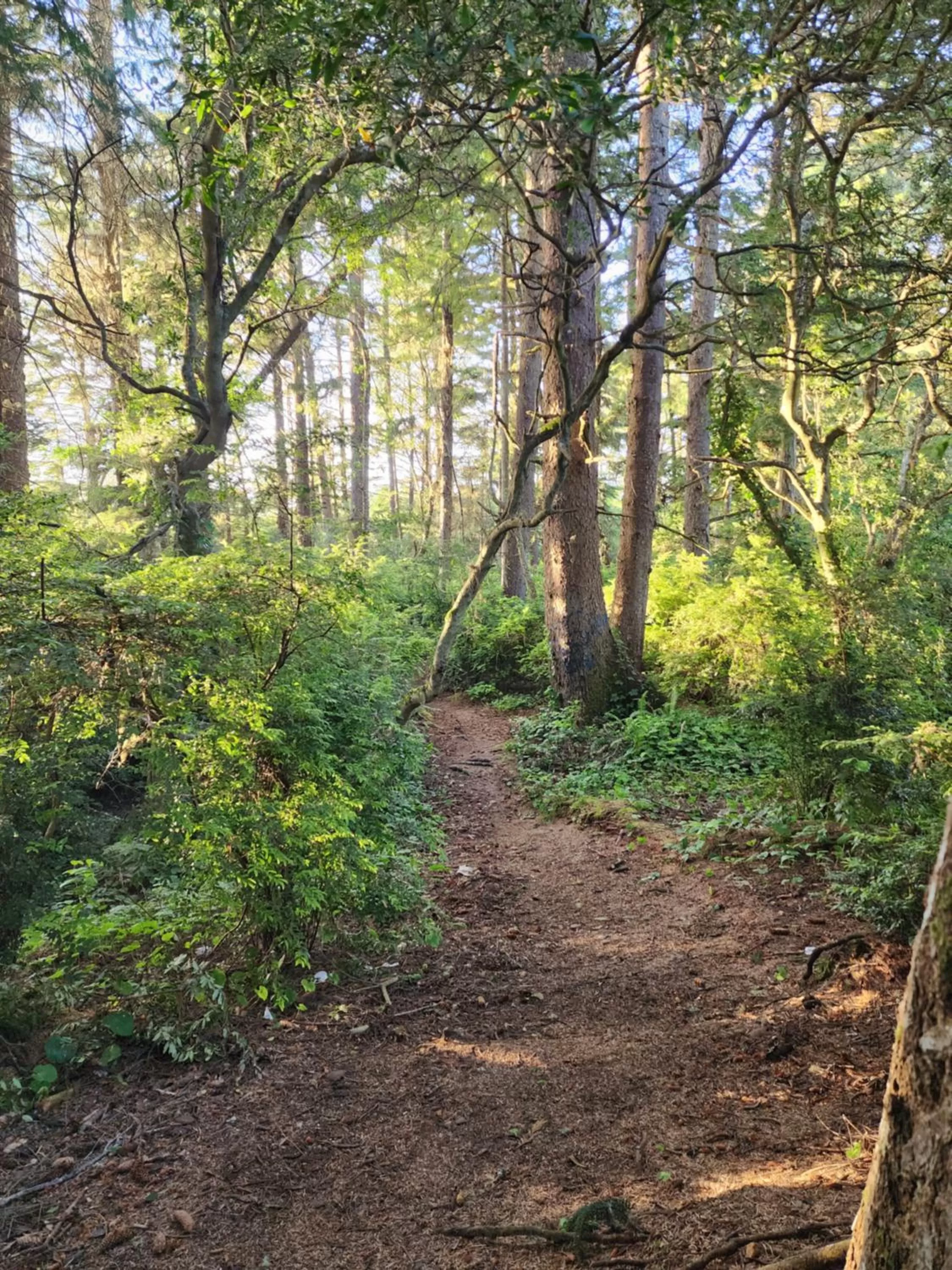 Beach in Plainview Motel