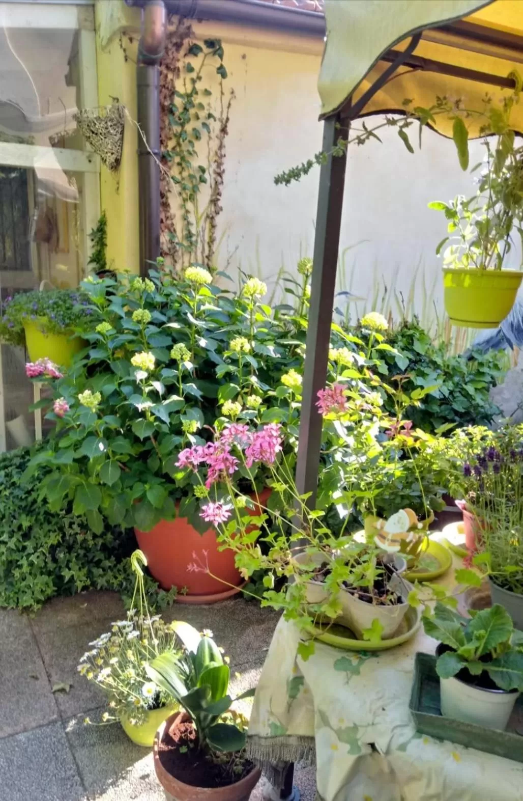 Bed And Breakfast Di Manu