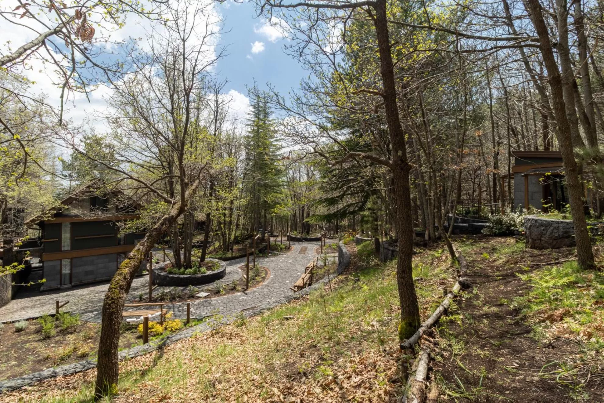 Garden in Locanda Milia Etna
