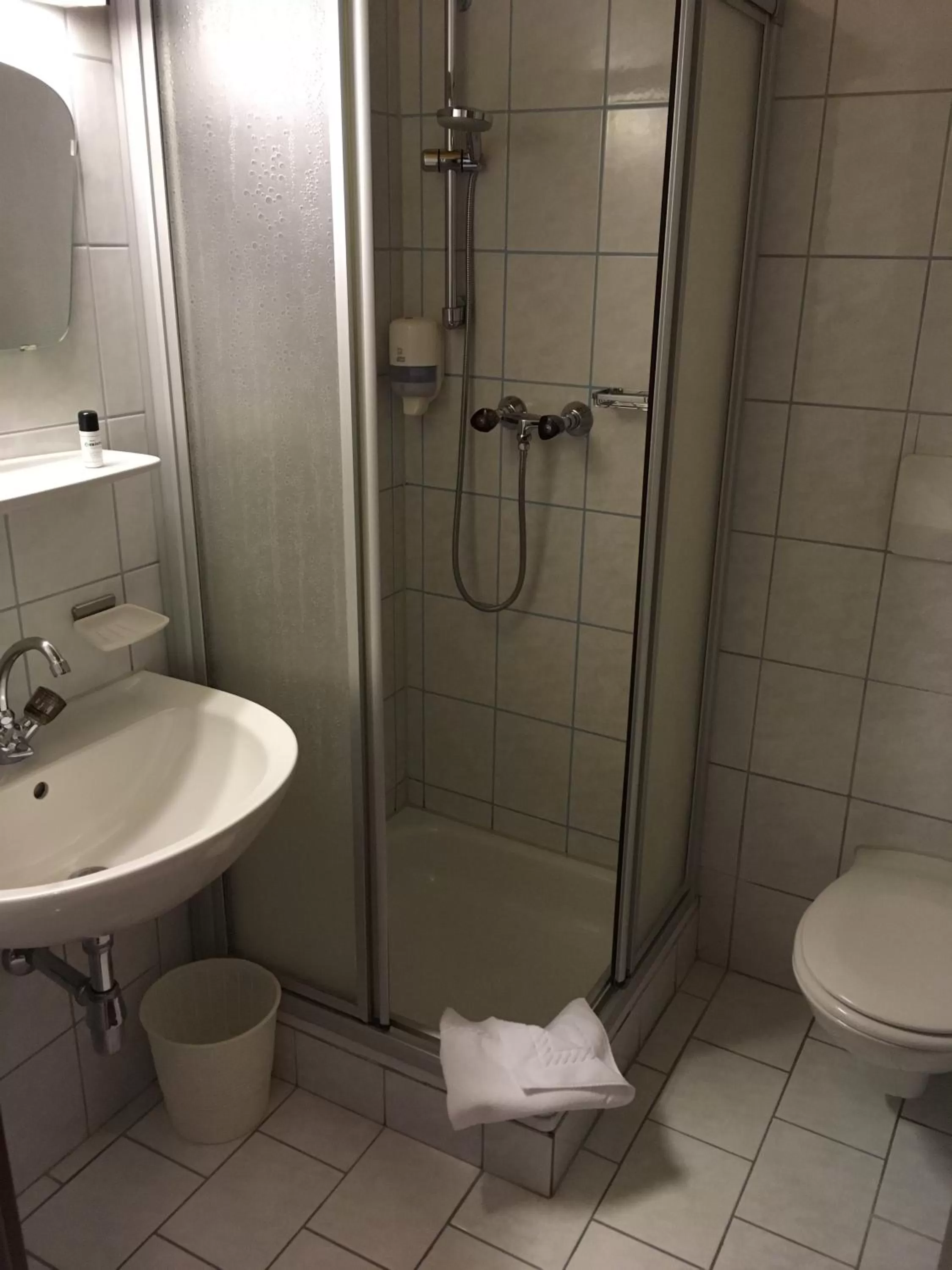 Shower, Bathroom in Hotel Hauserwirt