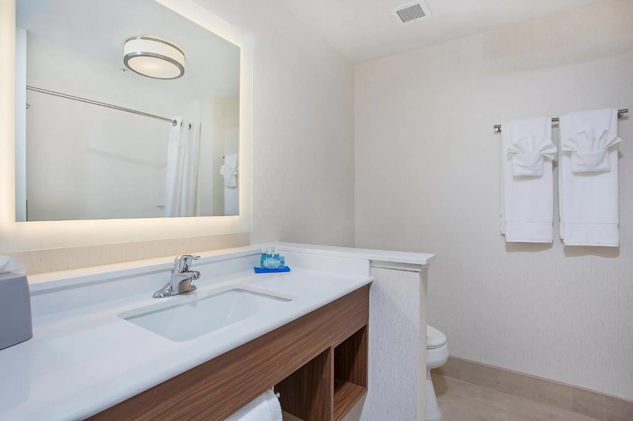 Bathroom in Holiday Inn Express & Suites Covington by IHG