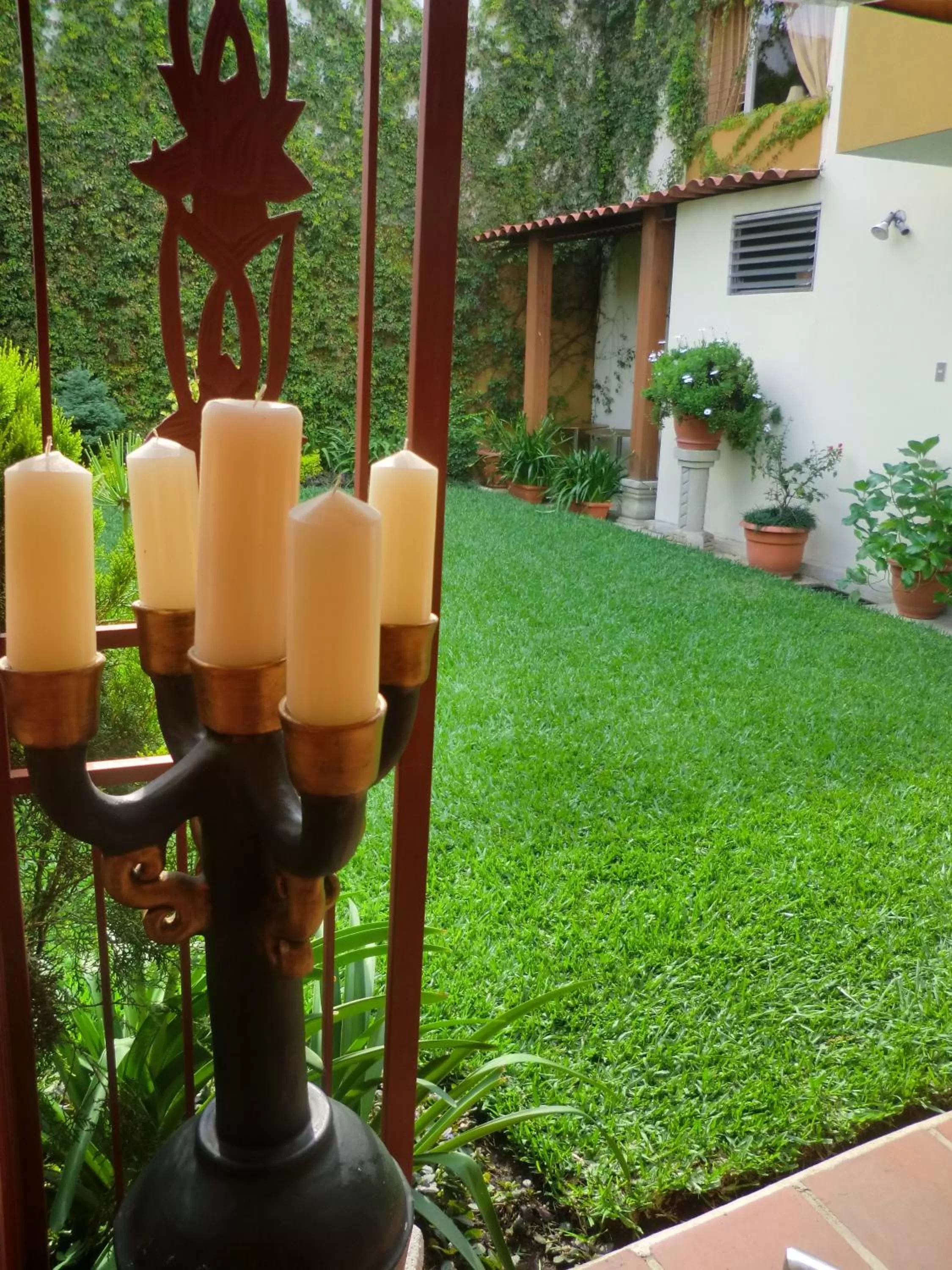 Day, Garden in Hostal Villa Toscana