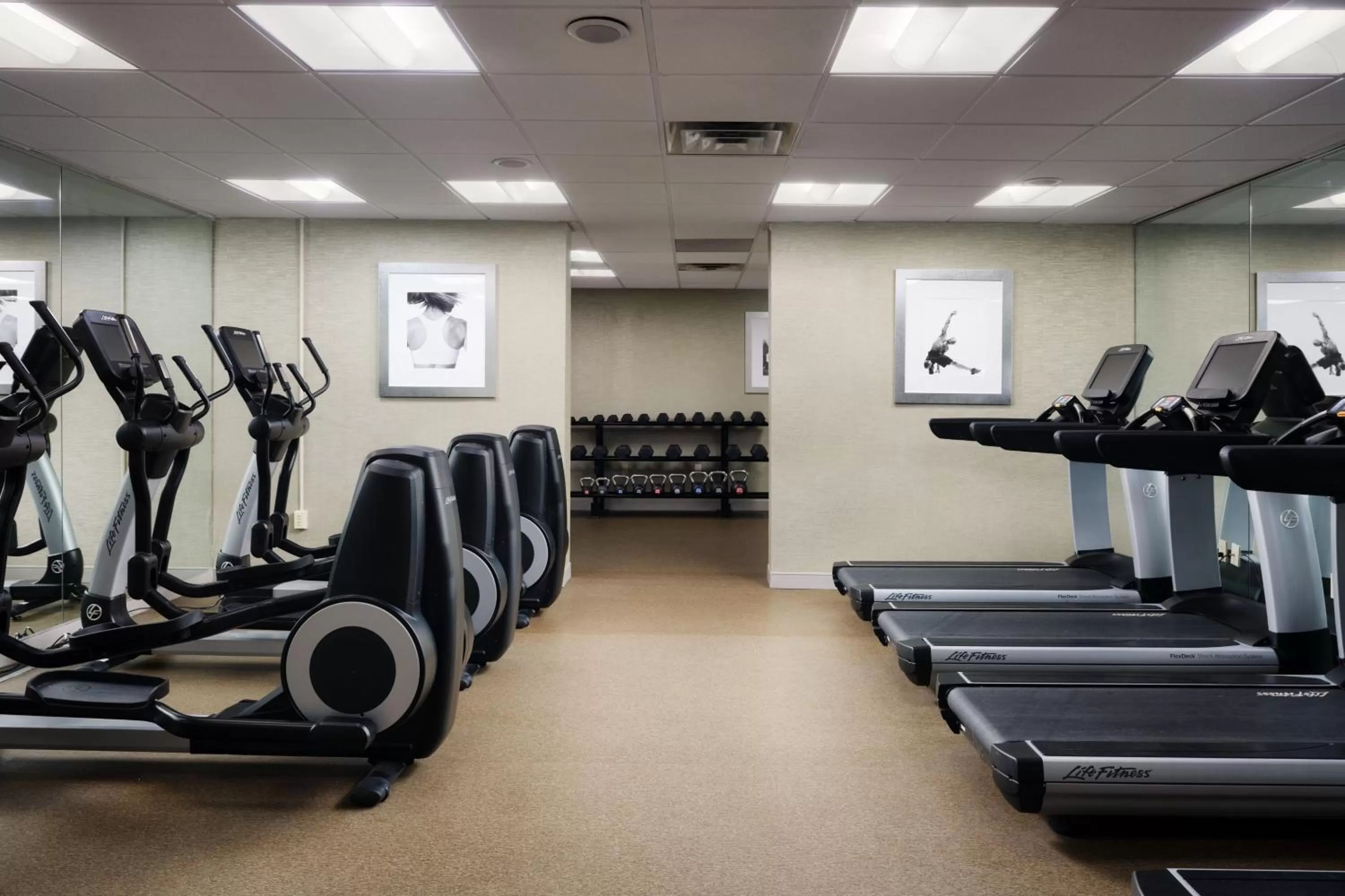 Fitness centre/facilities in Marriott Park Ridge