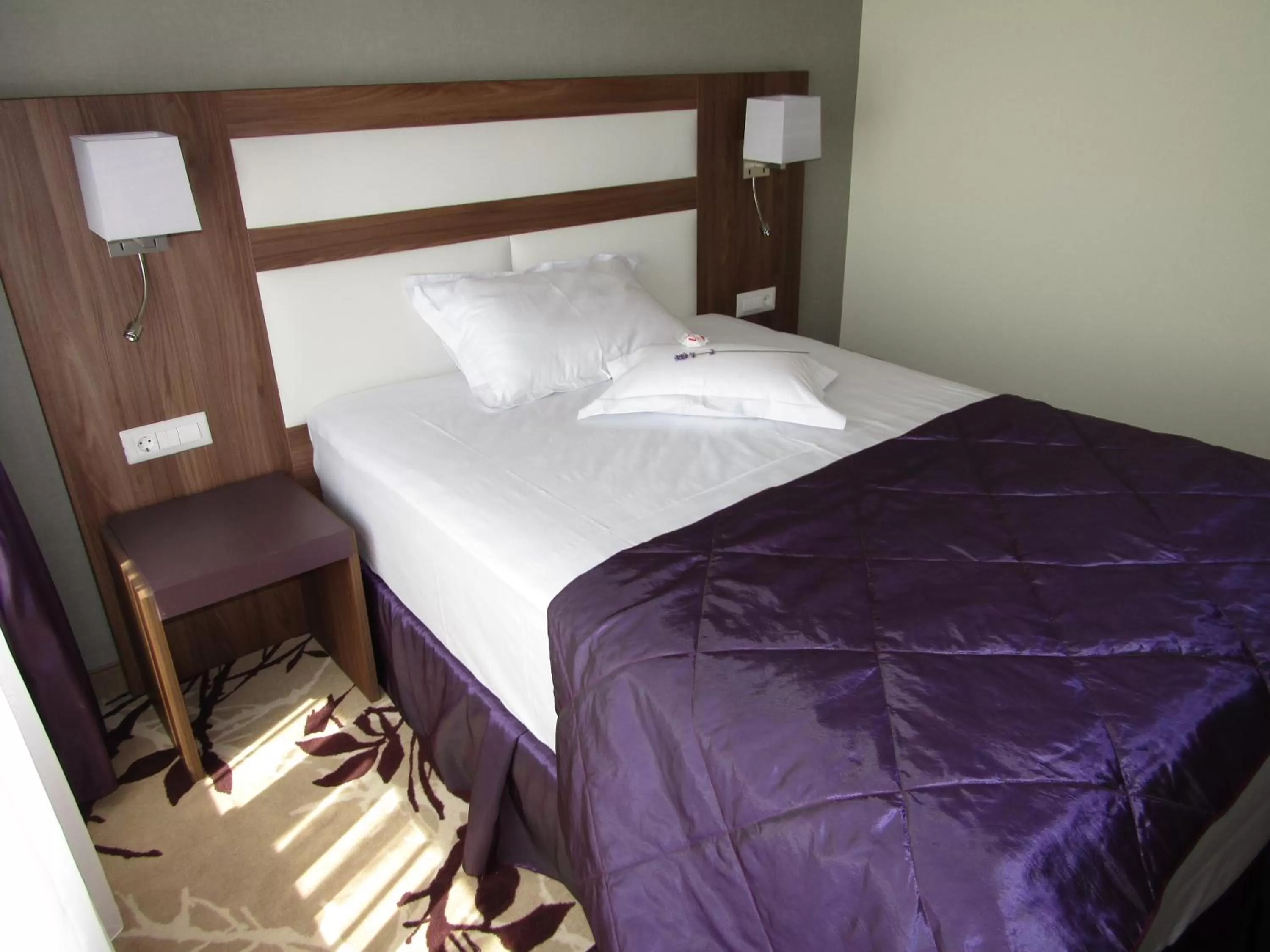 Single Room with City View in New Belvedere