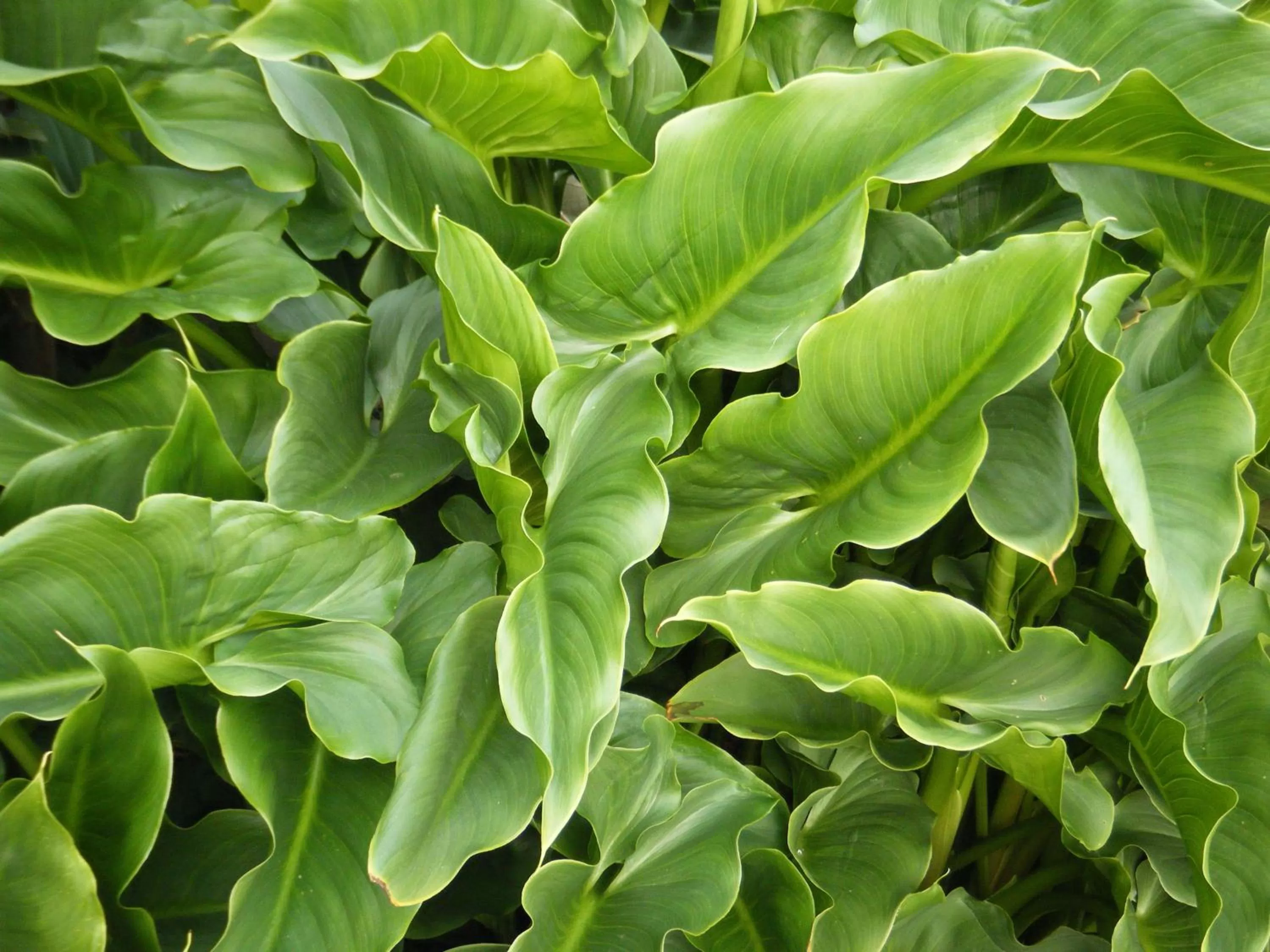 Other in Collingwood Manor