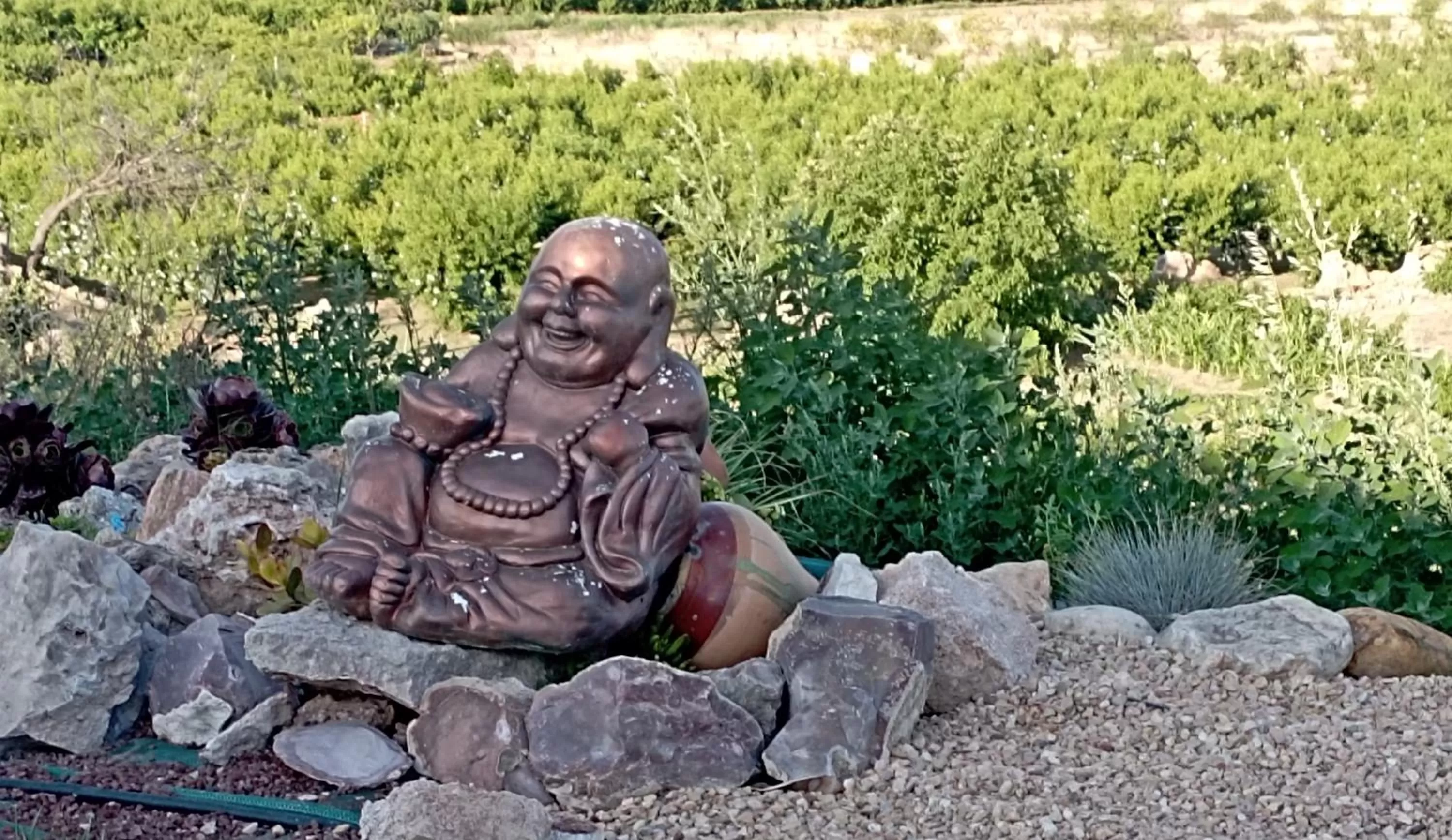 Garden in Cabezo Buñuel Hostal