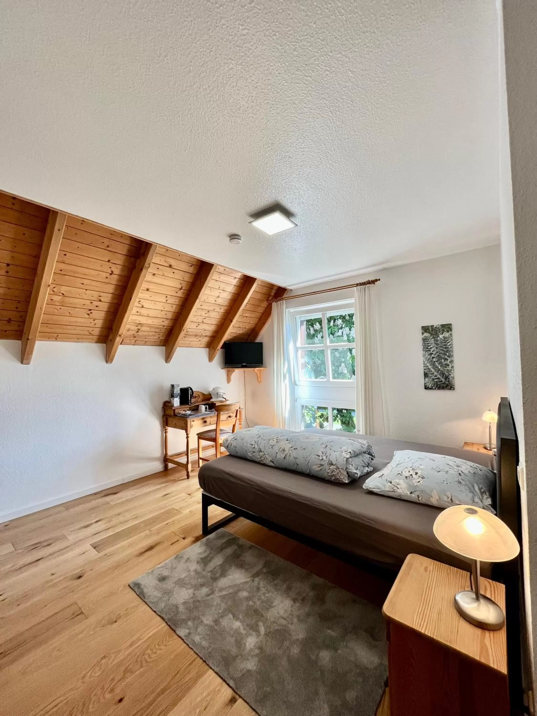 Double Room in Das Landhotel zur Mühle