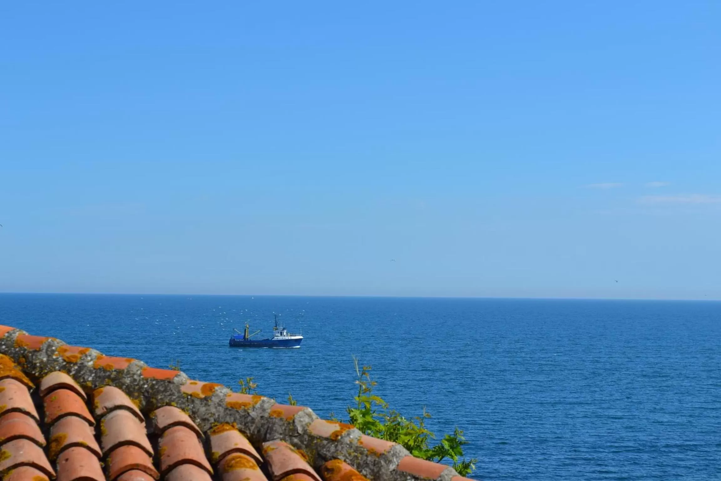 Area and facilities in Boutique Hotel St. Stefan
