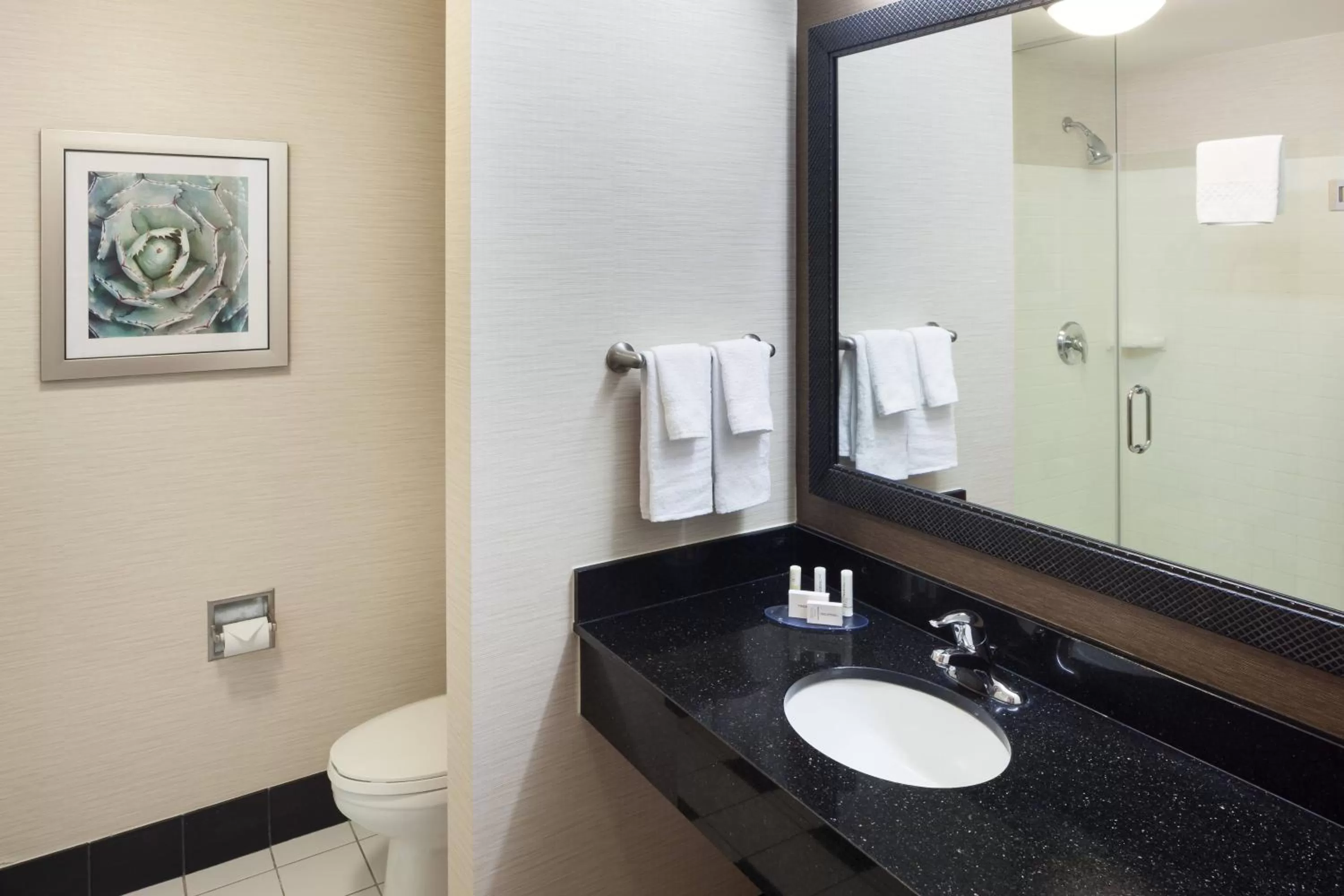 King Room - Hearing Accessible in Fairfield Inn and Suites Phoenix Chandler Fashion Center