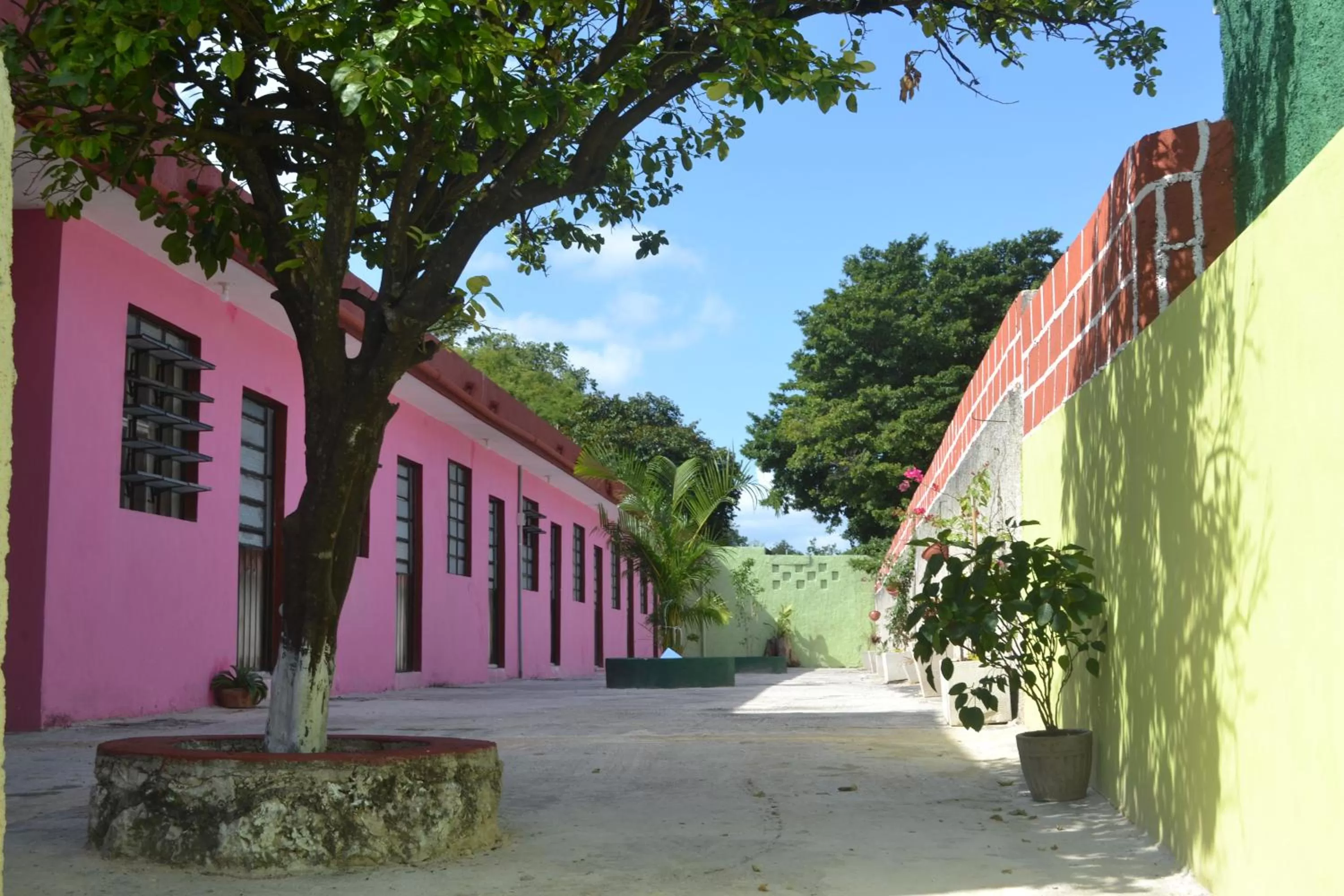 Garden in Casa Cuevas & Amaro
