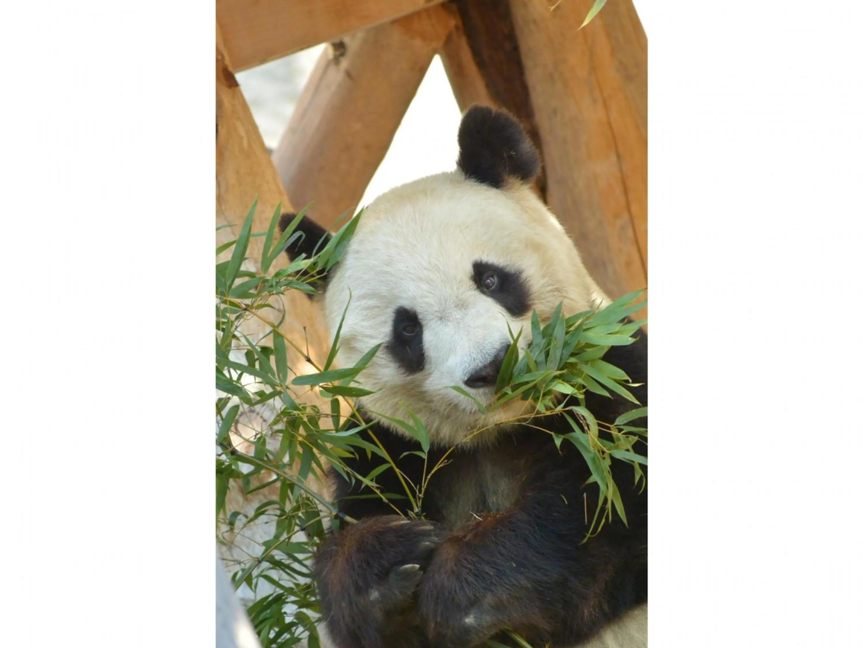 Nearby landmark in KOKO HOTEL Shimbashi Onarimon - formerly Hotel Wing International Shimbashi Onarimon